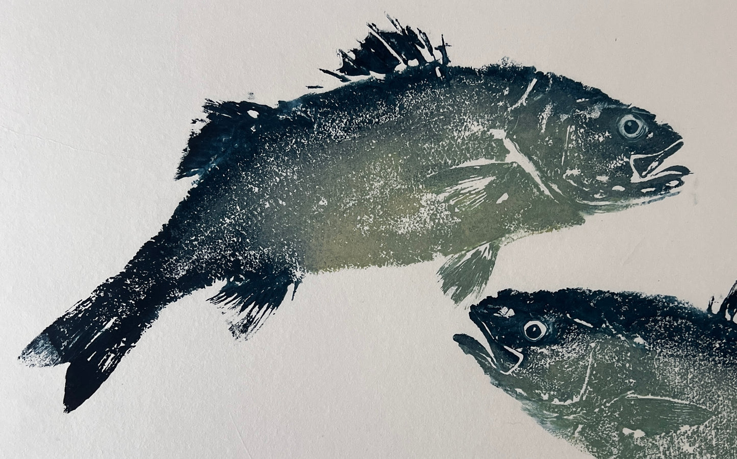 Anglesey Sea Bass Duo Gyotaku