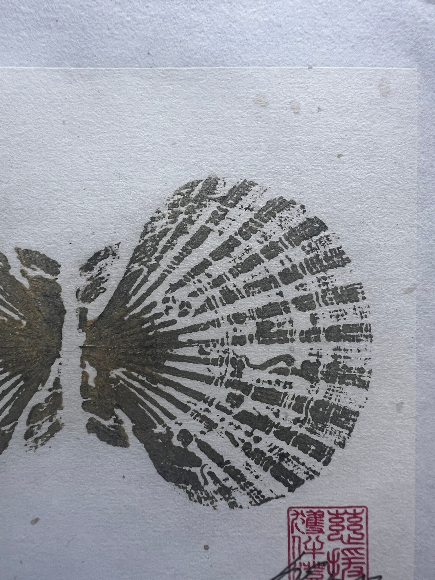 Small Scallop Shell Gyotaku