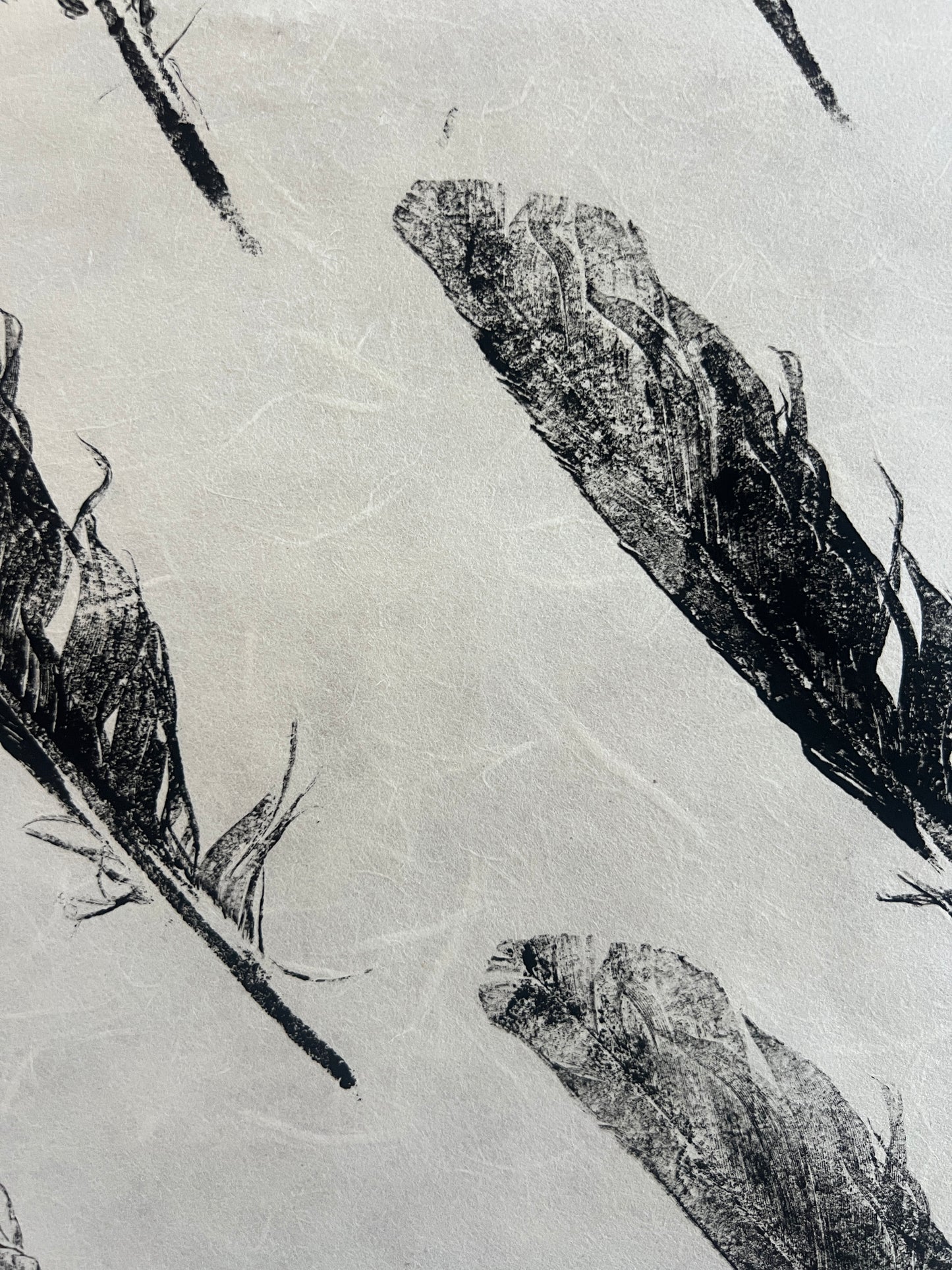 Feather Gyotaku – Black Ink on Thai Mulberry Paper