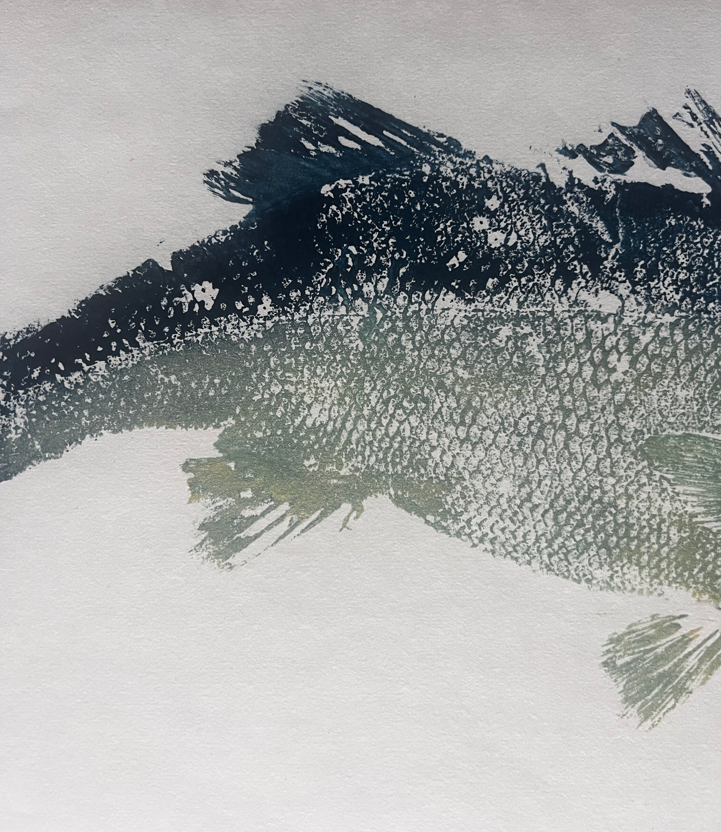 Anglesey Sea Bass Duo Gyotaku