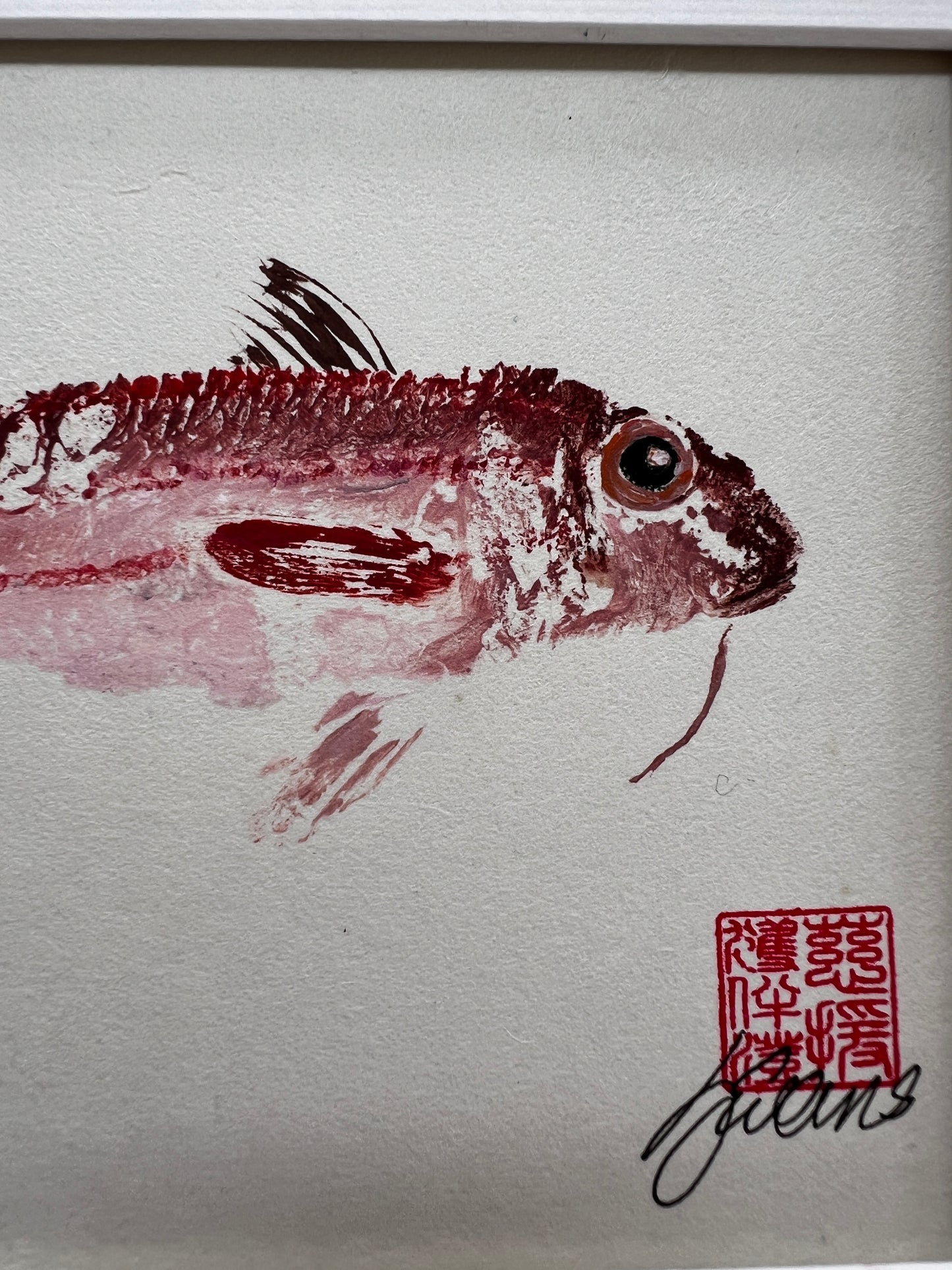 eh up Coch, Gyotaku of a small Red Mullet from the waters of North Wales