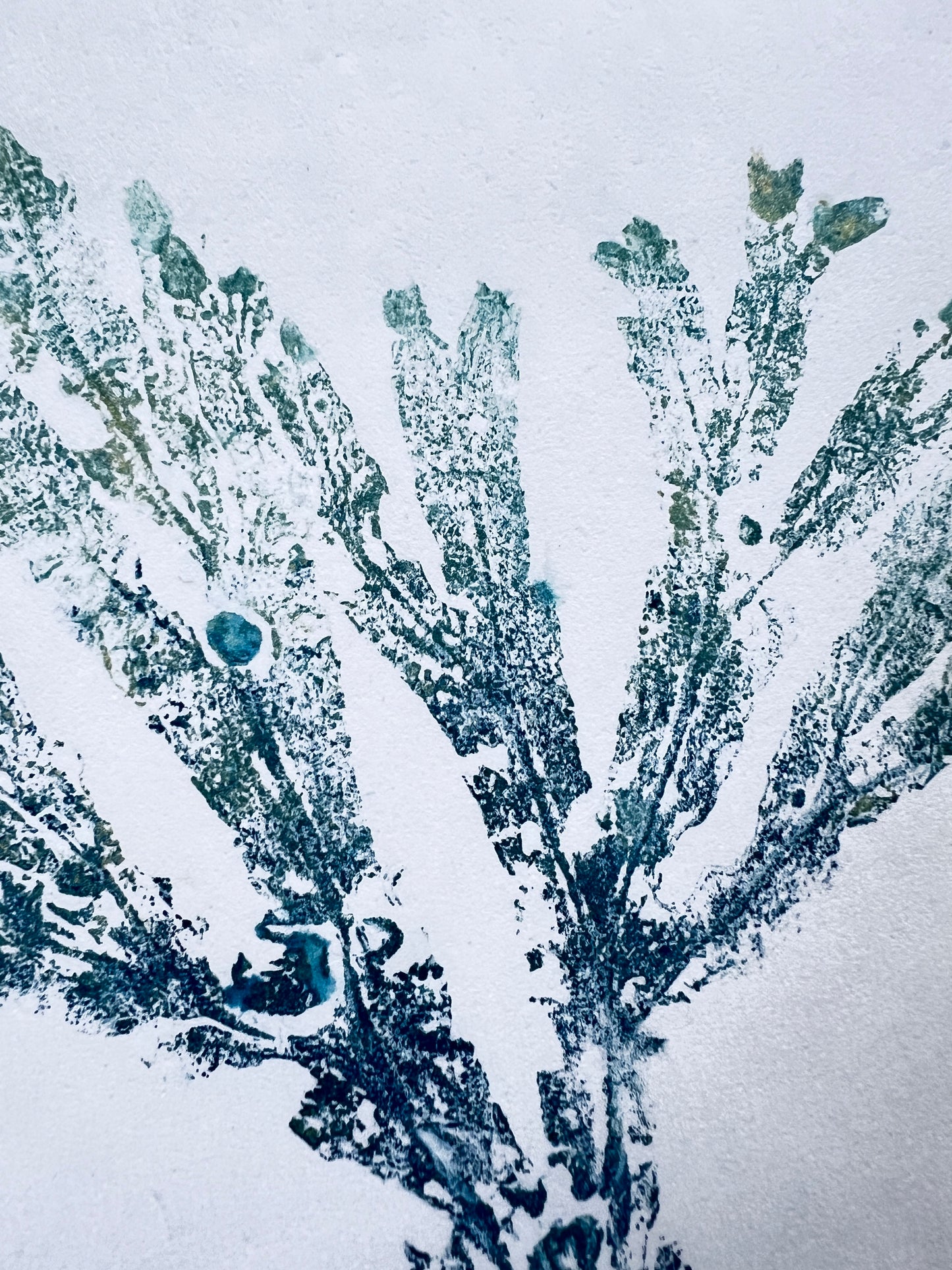 Seaweed Gyotaku in Blue and Gold Ink Portrait