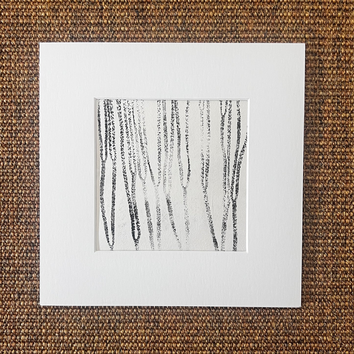 Sea Spaghetti