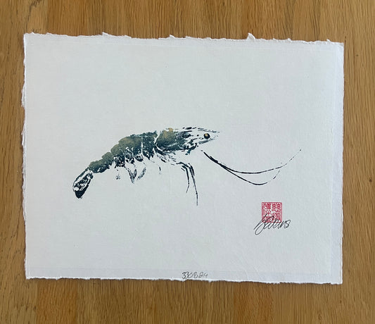Gyotaku Impression taken from the surface of a Large Prawn