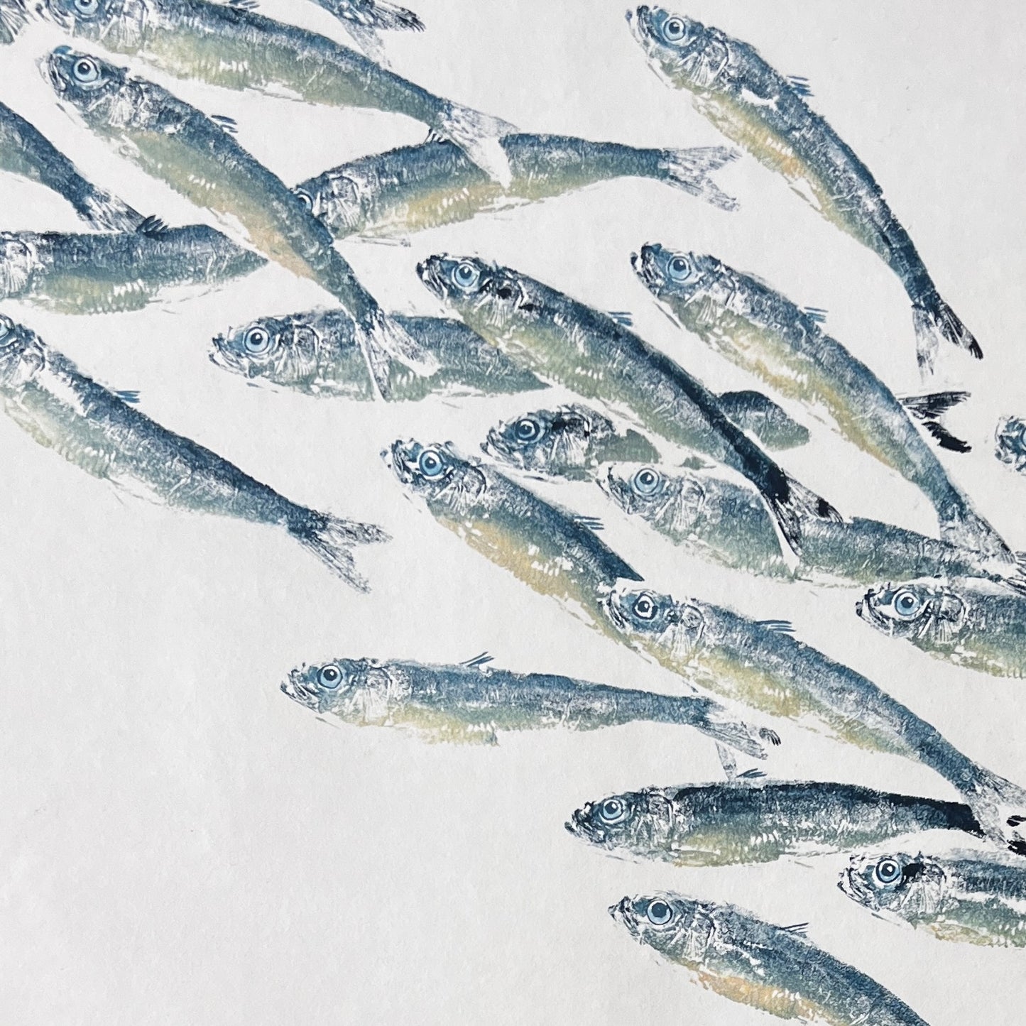 Large Print from Sardine on Japanese Hand Made Paper
