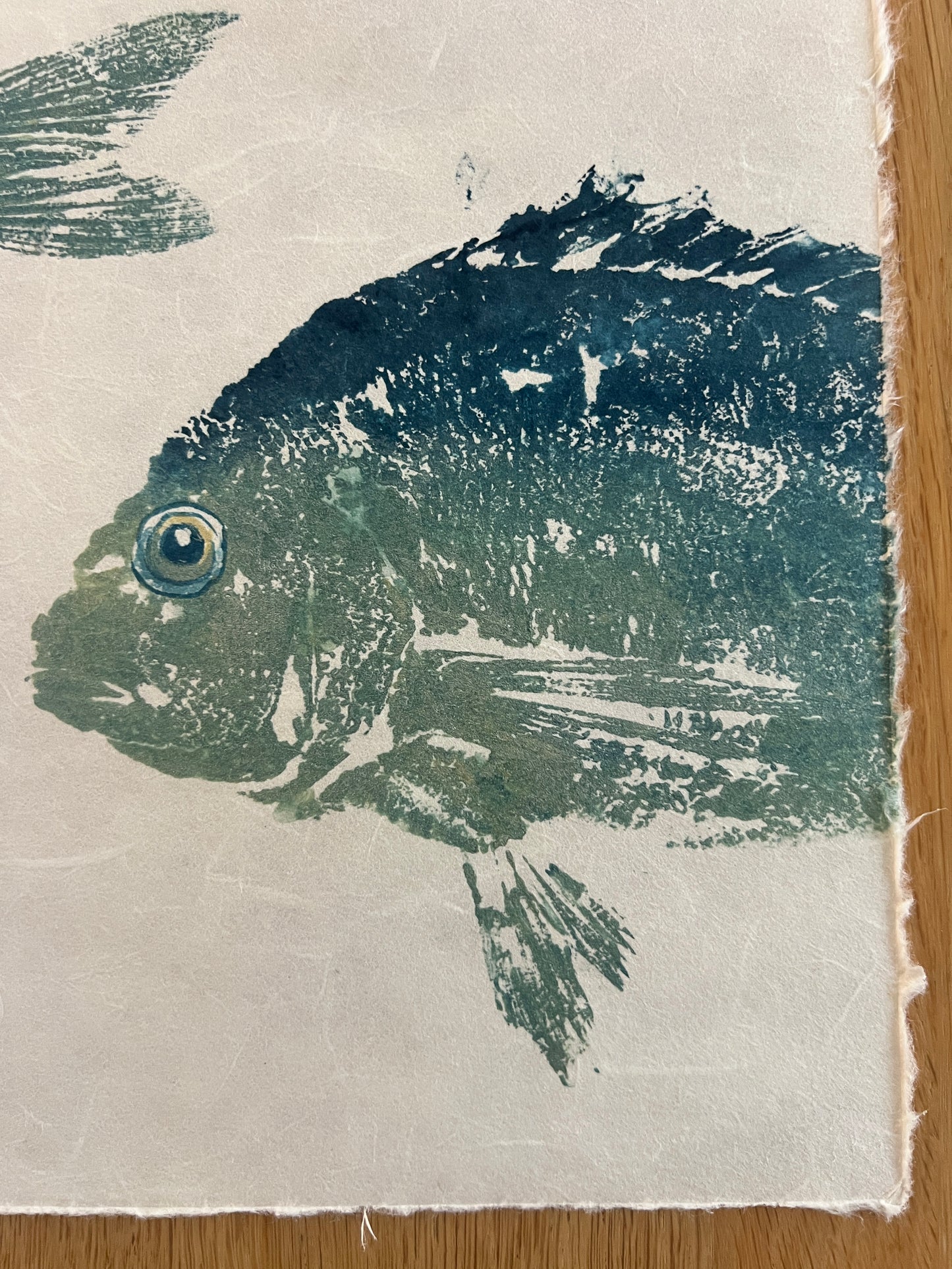 10 x 10 Inch Sea Bream Print – Blue &amp; Gold Gyotaku-Inspired Marine Art
