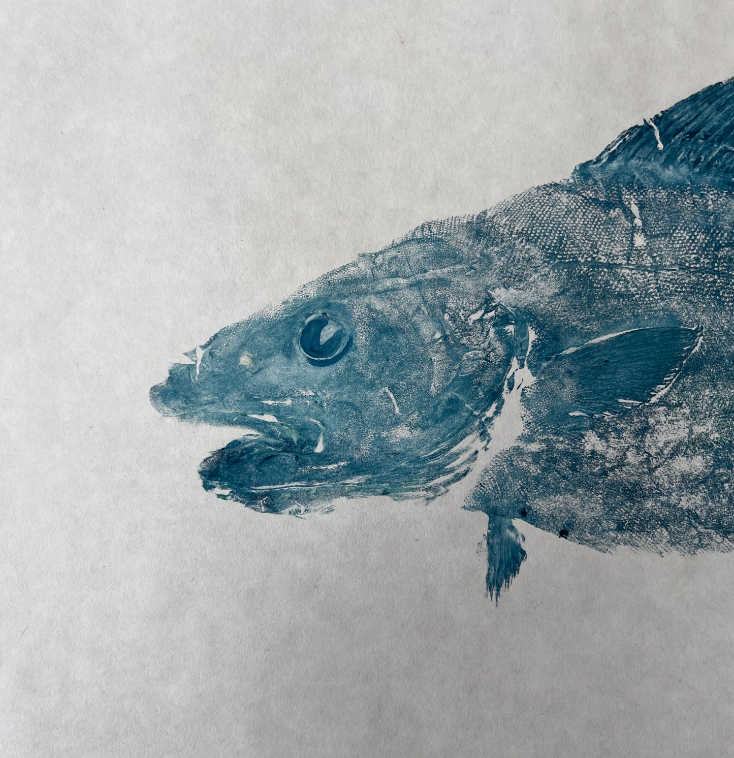 Menai Strait Codling