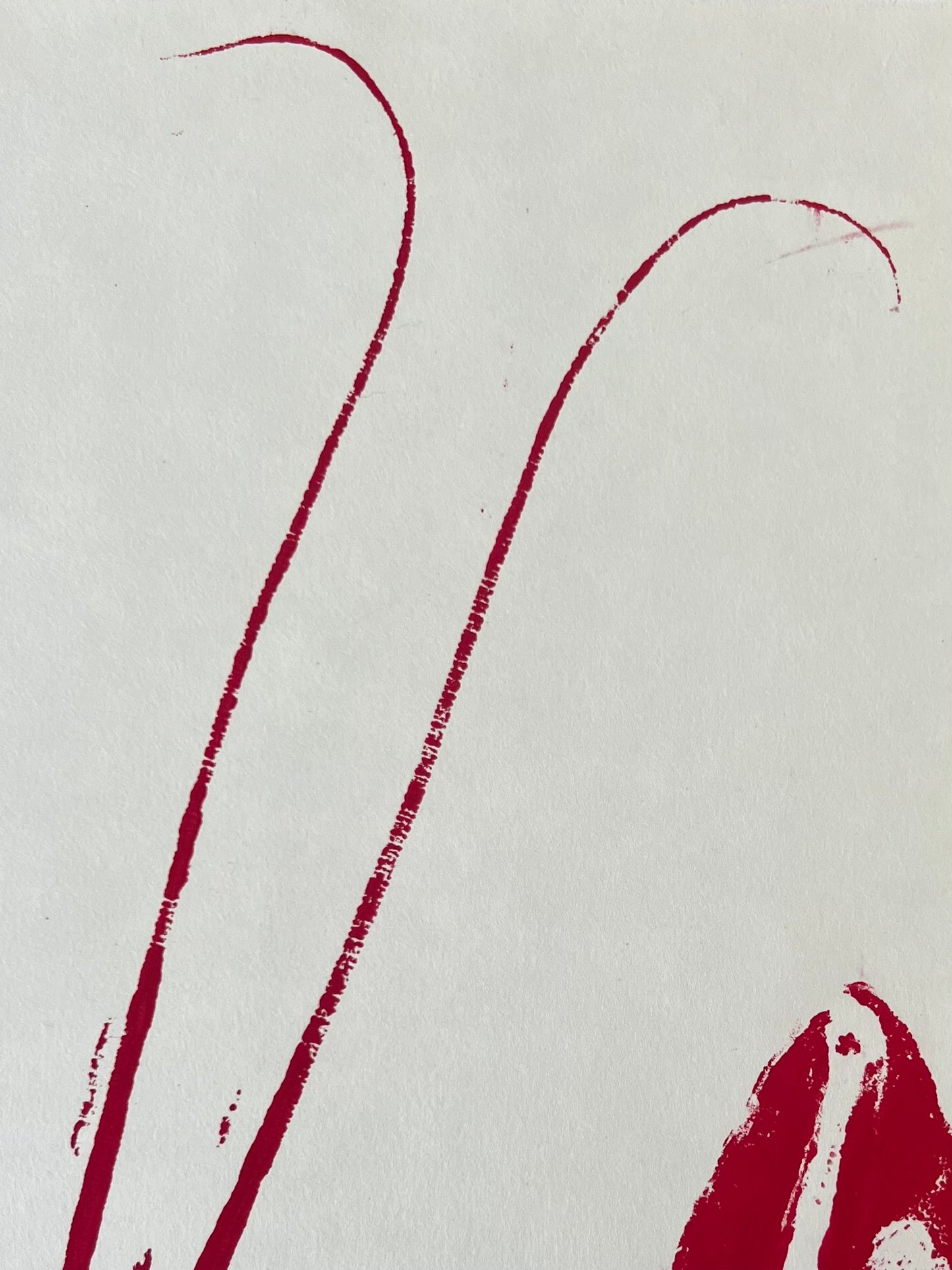 Lobster Love, Gyotaku Impression of an Anglesey Lobster