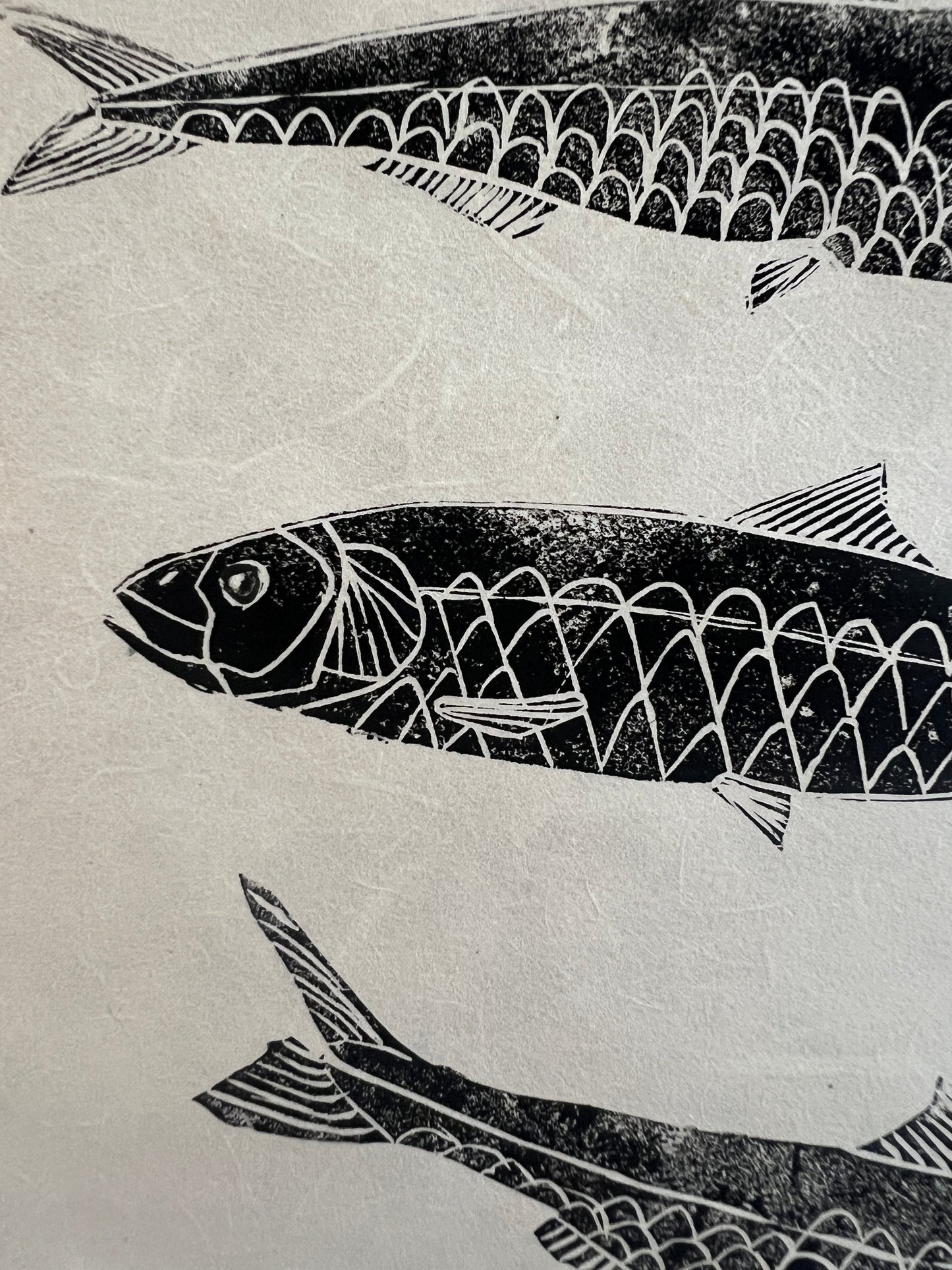 10 x 10 Inch Sardines Print – Linotaku Marine Wall Art