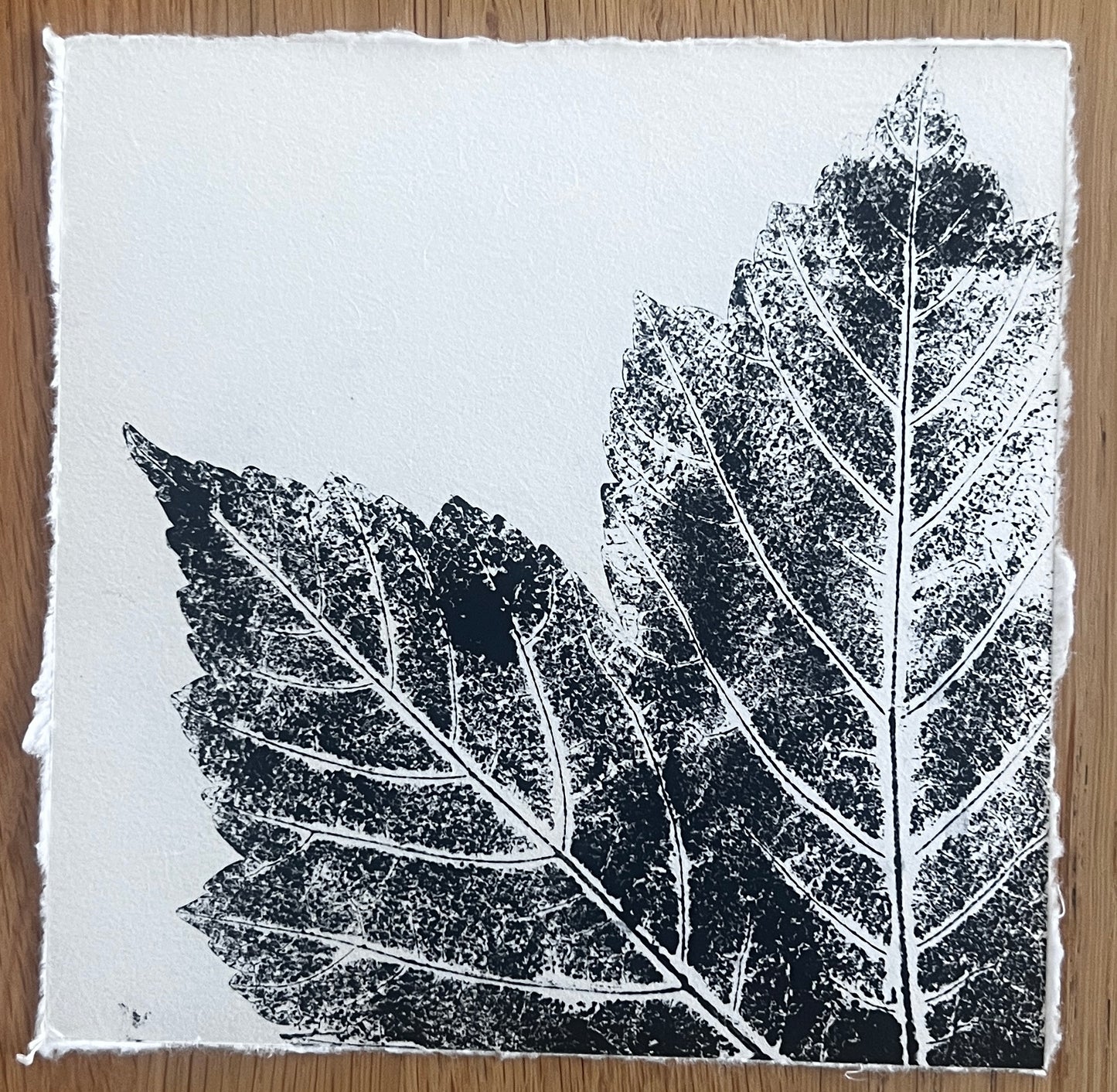 Coed Cyrnol Leaf Print – Black Ink on Thai Mulberry Paper
