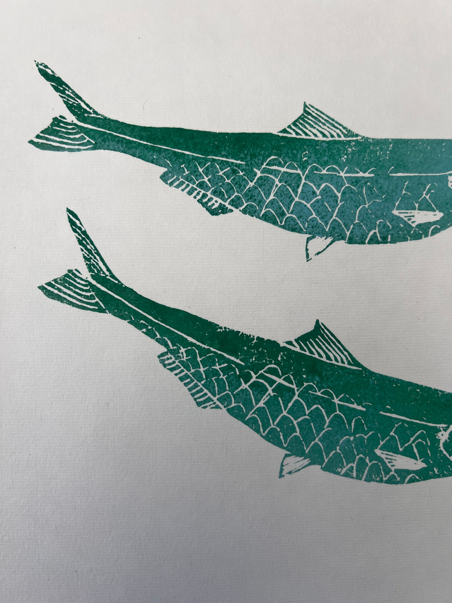 Sardine Lino Print Gyotau
