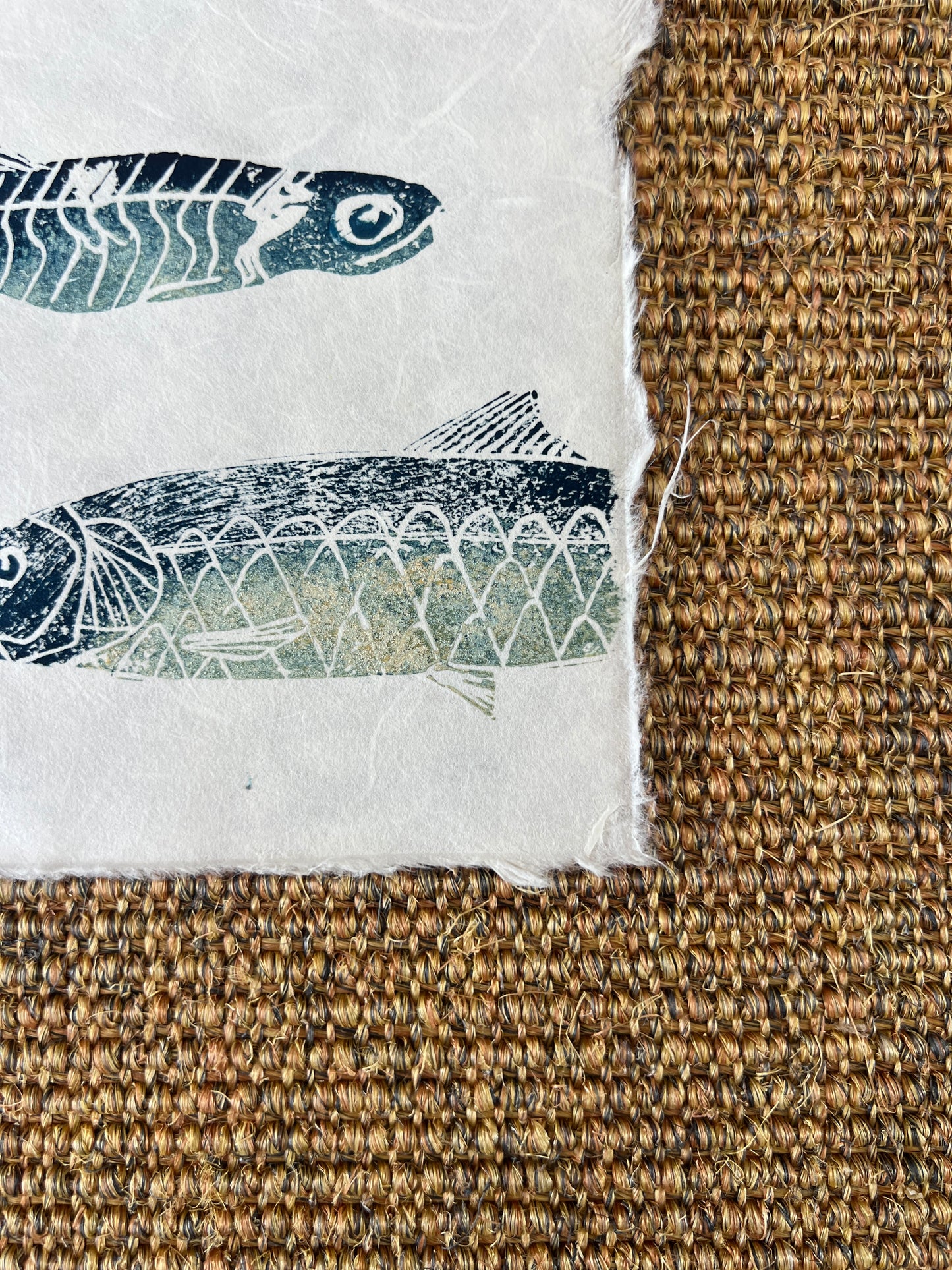 6 x 6 Inch Sardine &amp; Anchovy Print – Linotaku Mini Marine Wall Art