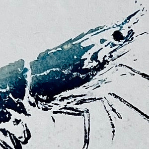 Gyotaku Impression taken from the surface of a Large Prawn