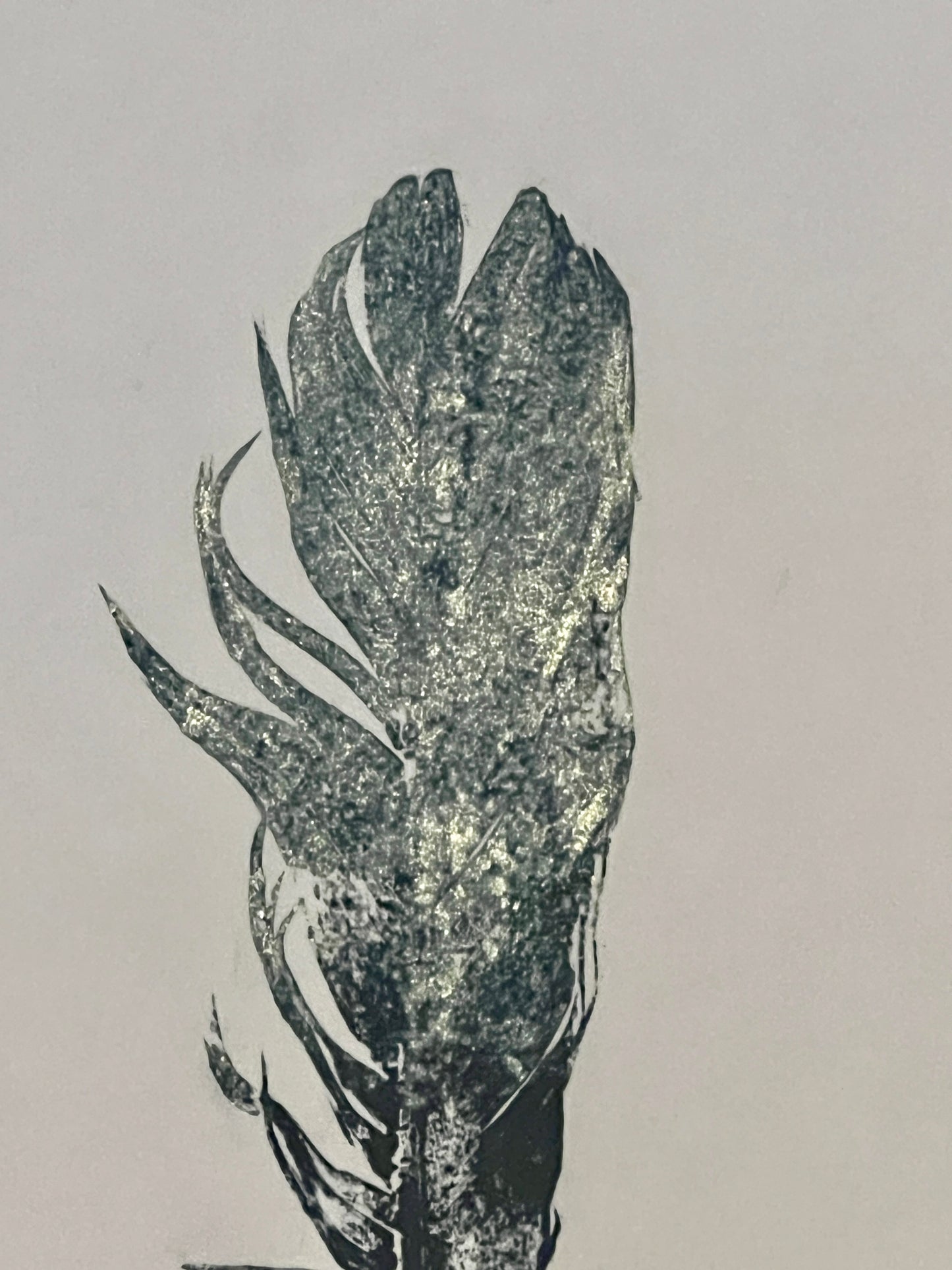 Small Bird Feather – Gyotaku Print