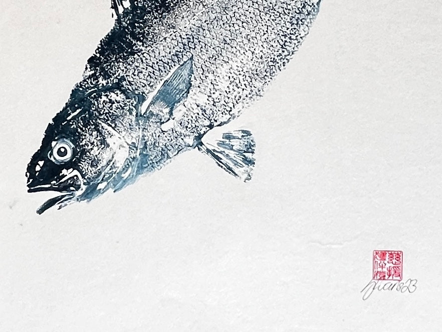Anglesey Sea Bass Gyotaku