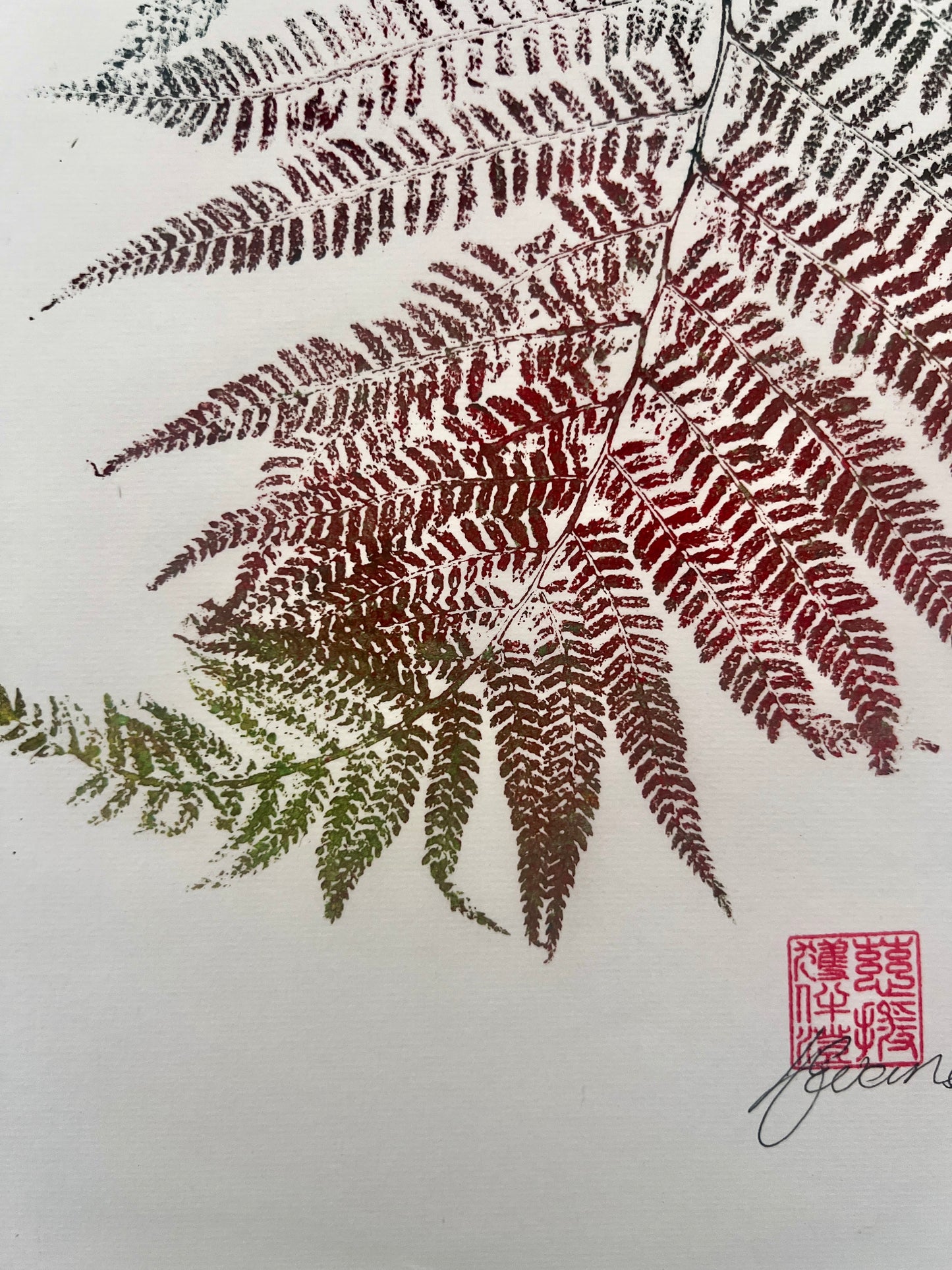 Gyotaku of a Fern Frond In Green and Brown Ink