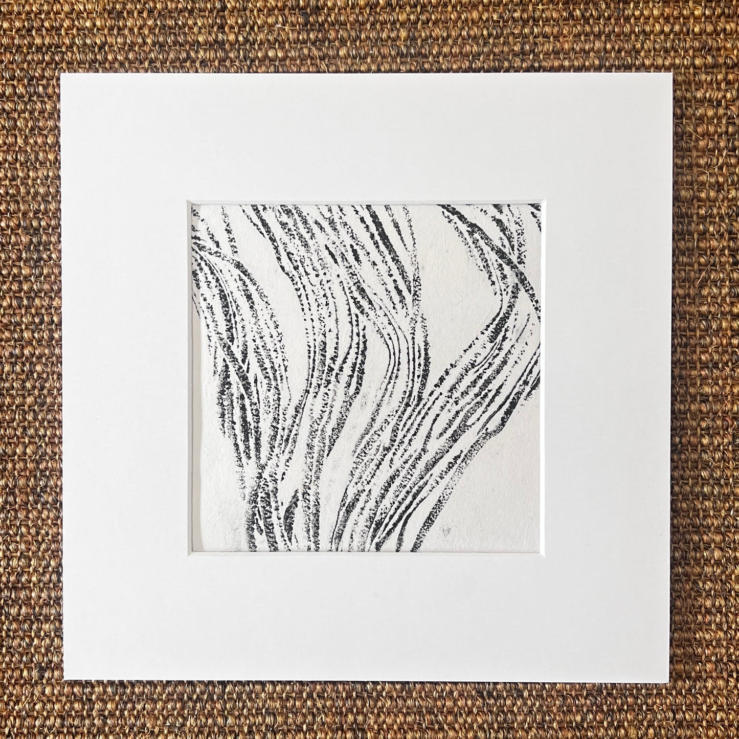 Sea Spaghetti