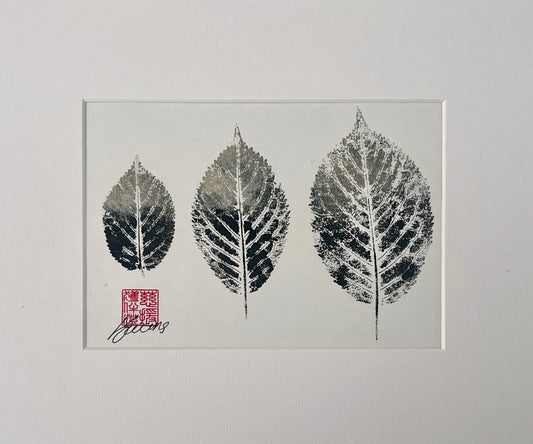 Gyotaku of Ash Leaves