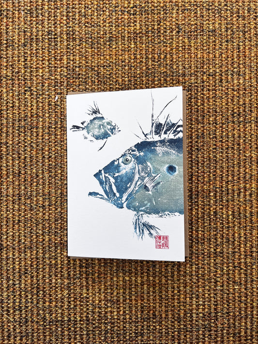 John Dory Greeting Card