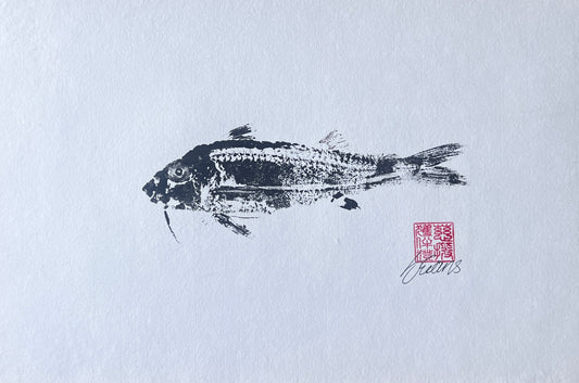 Gyotaku of a small Red Mullet from the waters of North Wales in Sumi