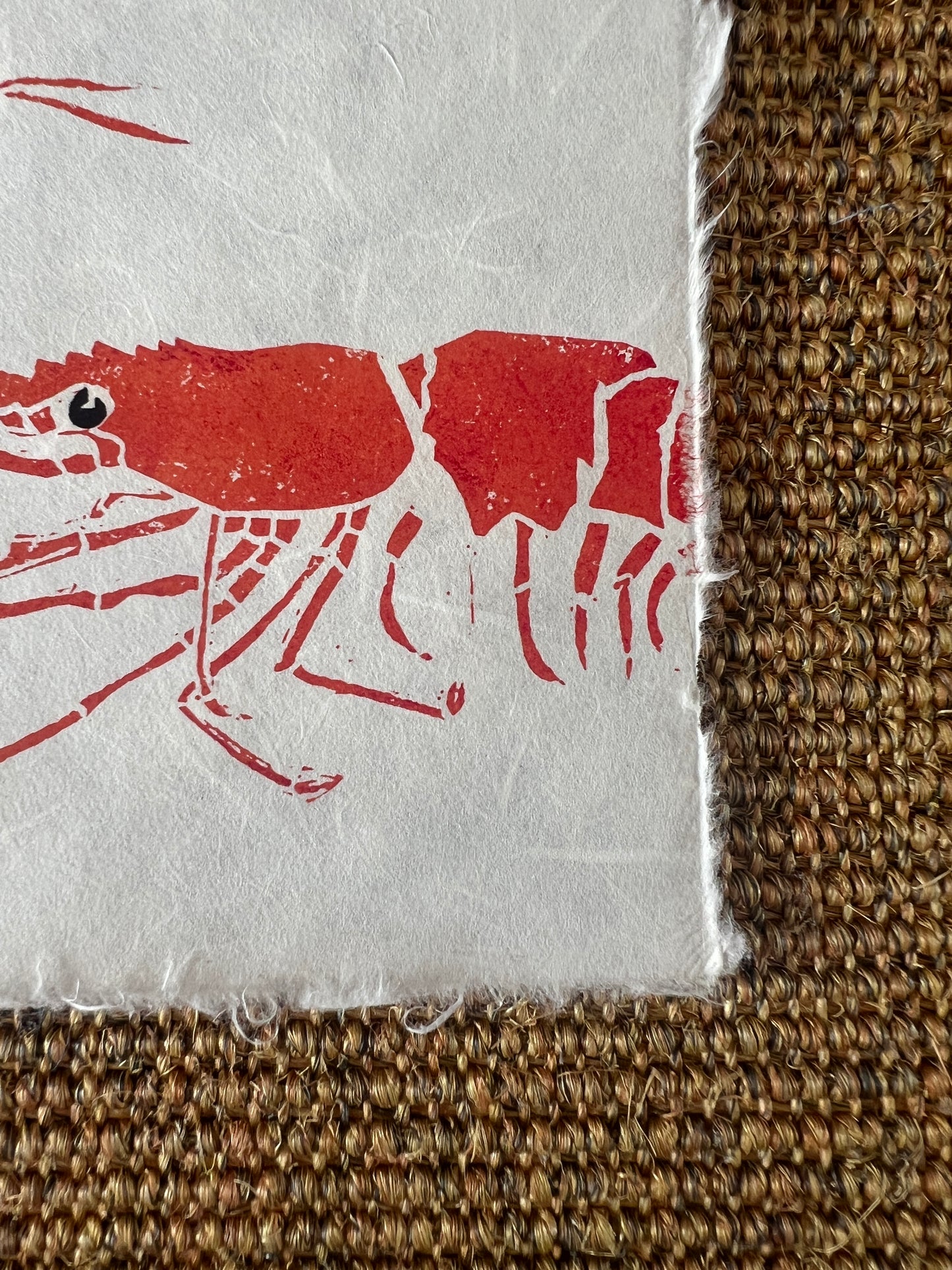 6 x 6 Inch Prawn Print – Linotaku Mini Marine Wall Art