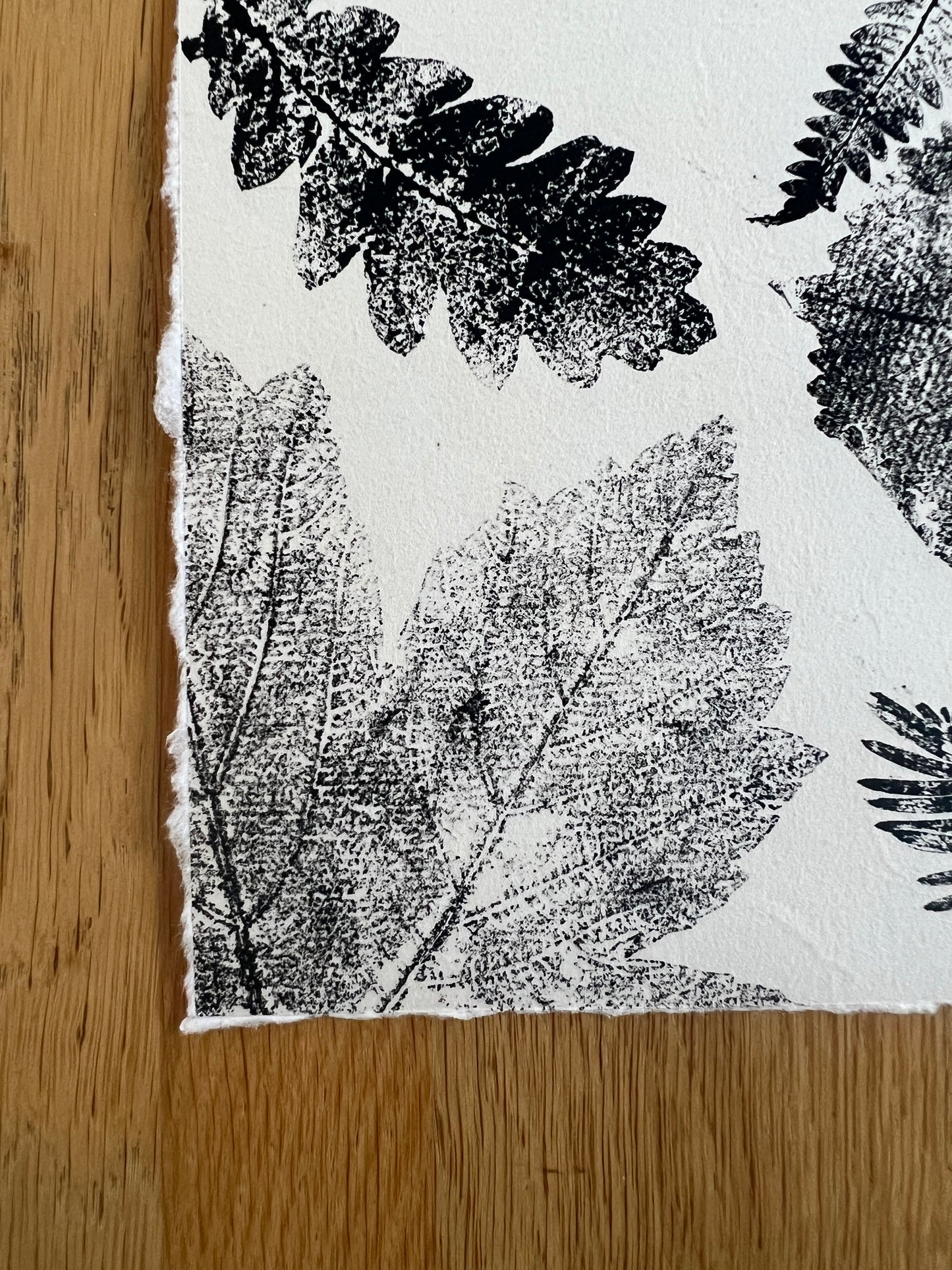 Coed Cyrnol Leaf Print – Black Ink on Thai Mulberry Paper