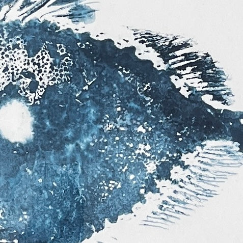 Gyotaku of John Dory