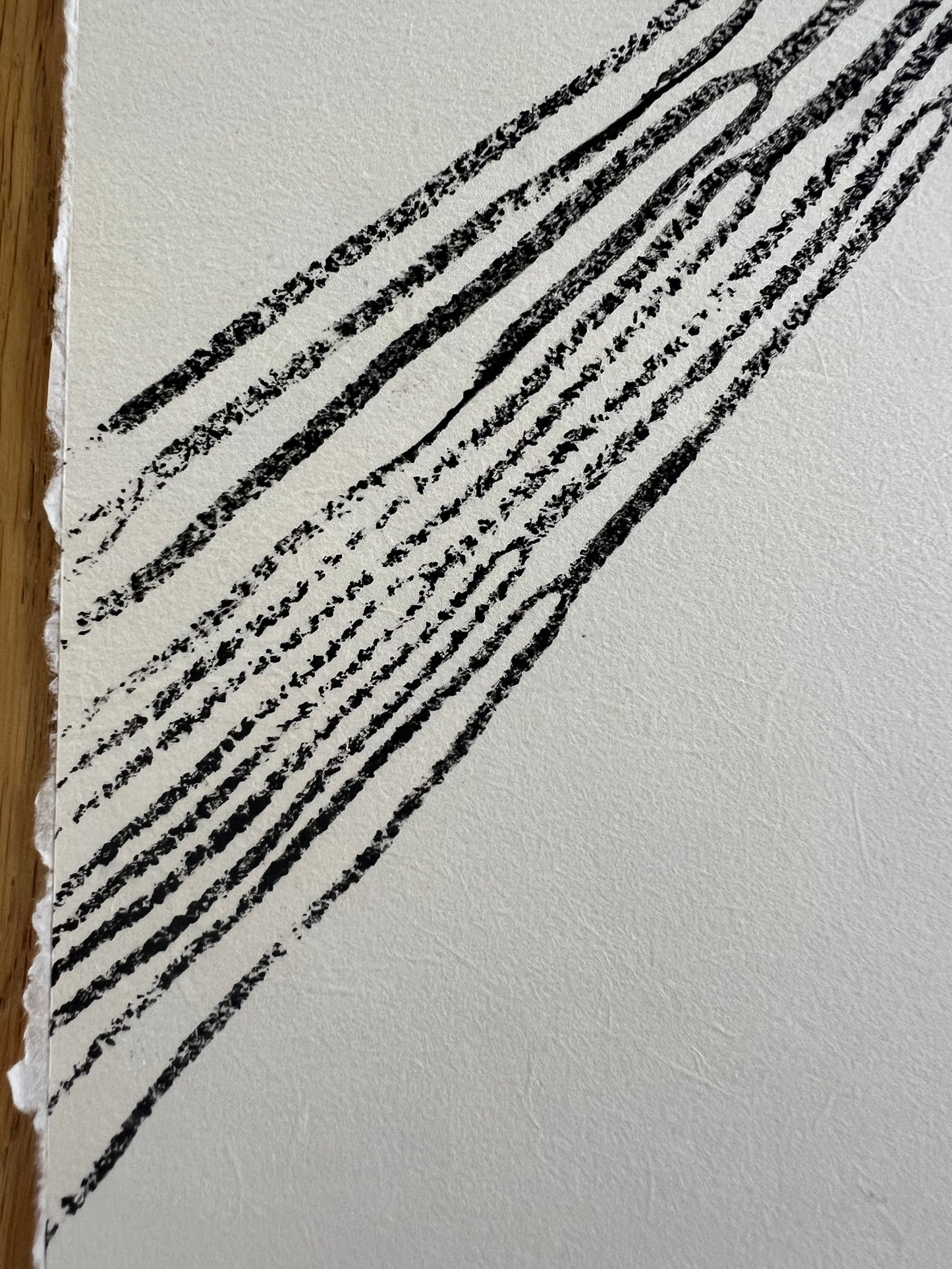 A4 Sea Spaghetti Print – Gyotaku-Inspired Marine Wall Art