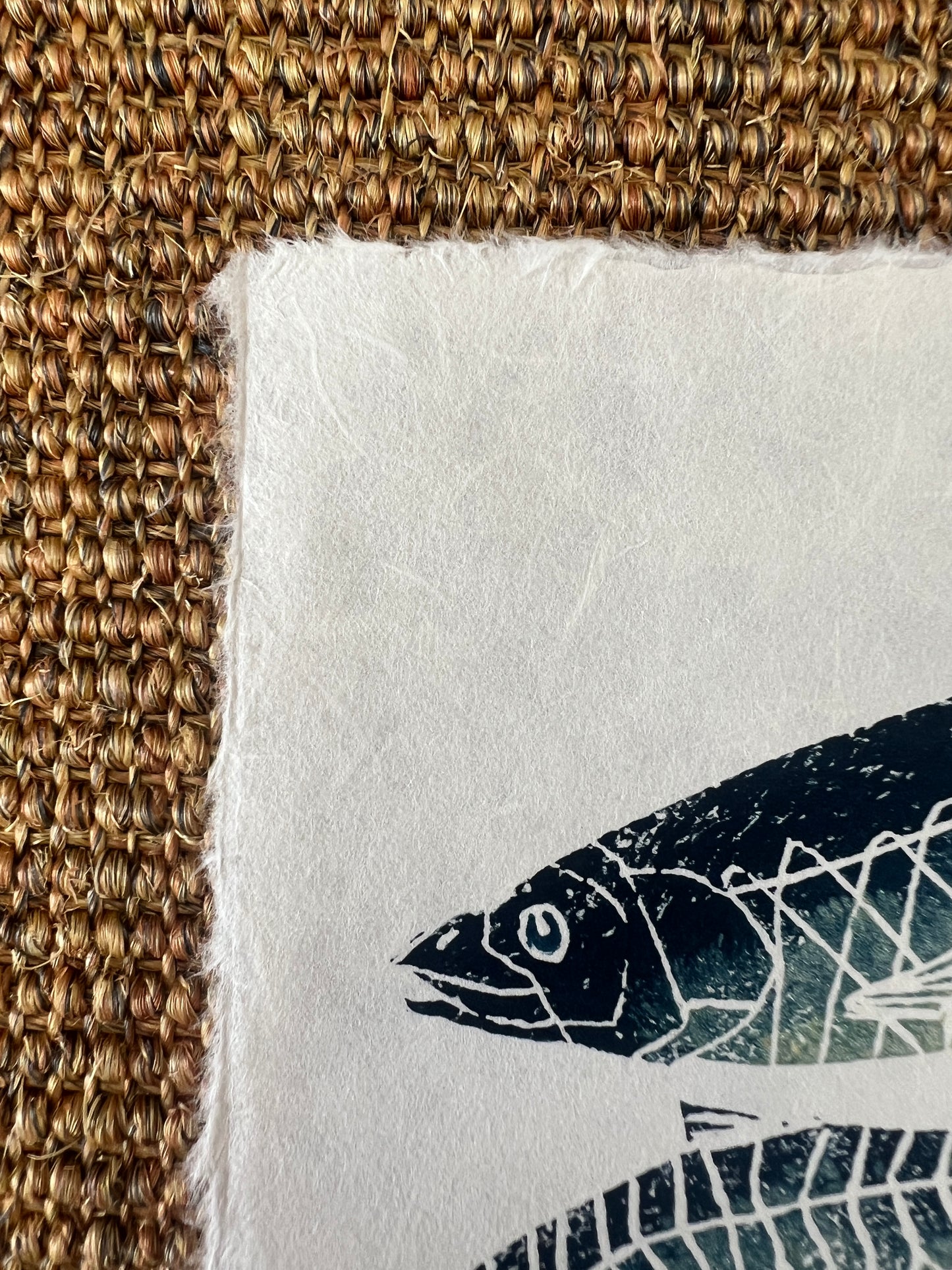6 x 6 Inch Sardine &amp; Anchovy Print – Linotaku Mini Marine Wall Art