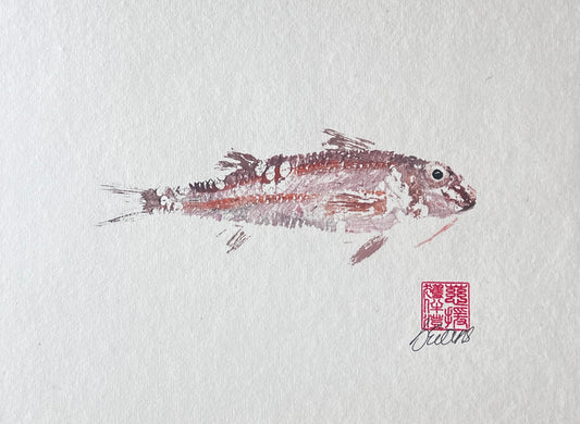 Gyotaku of a small Red Mullet from the waters of North Wales
