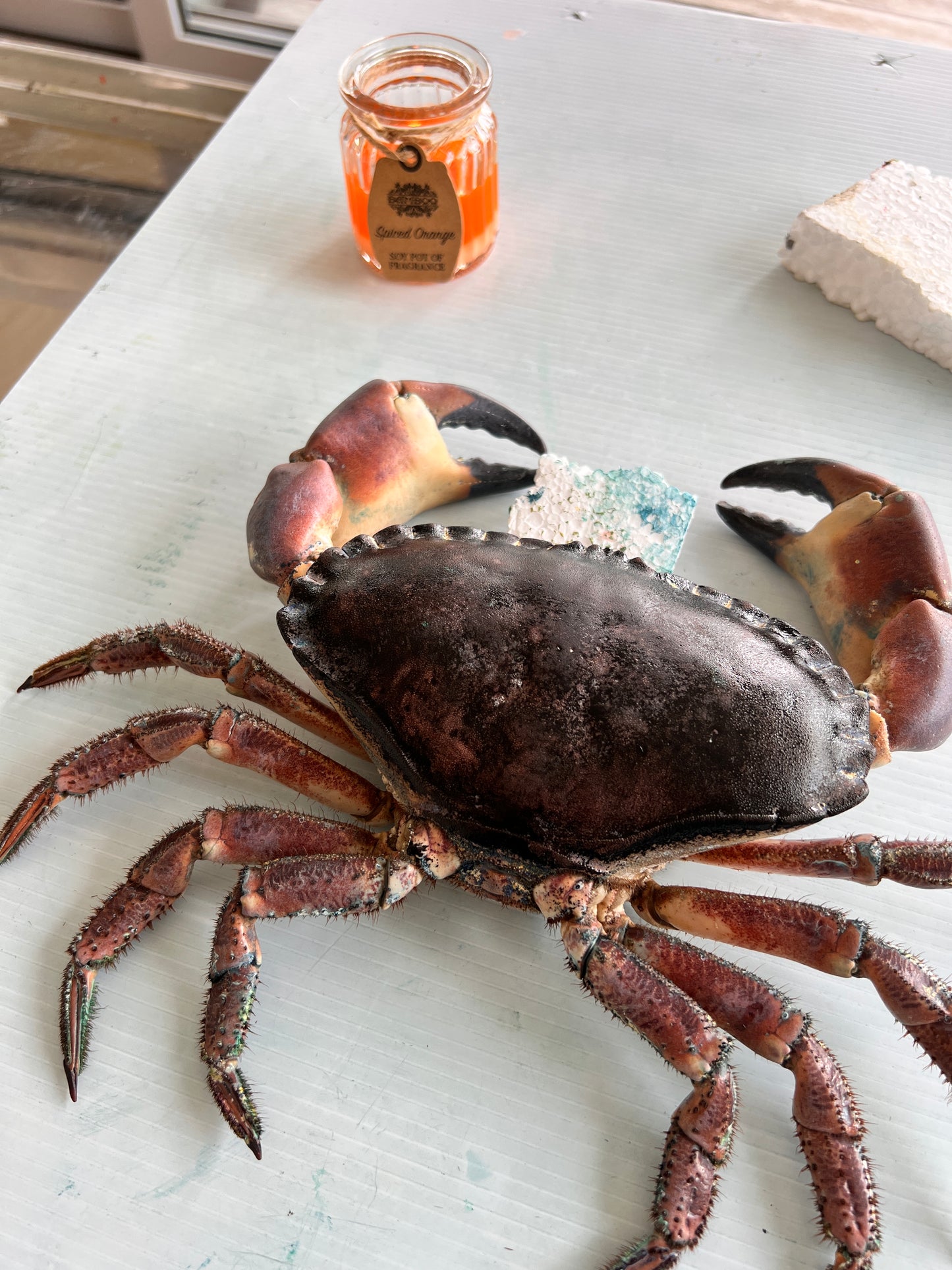 Hand Printed Gyotaku Anglesey Crab