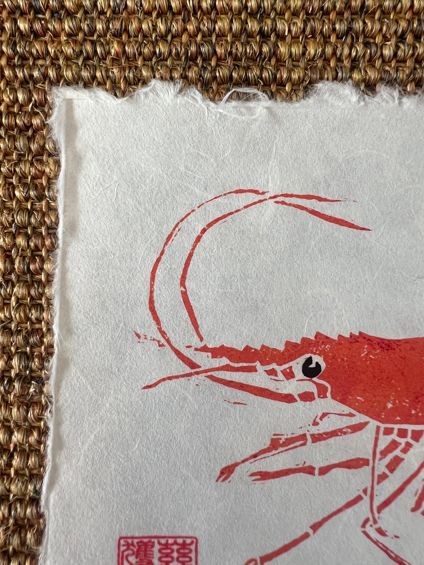 6 x 6 Inch Prawn Print – Linotaku Mini Marine Wall Art