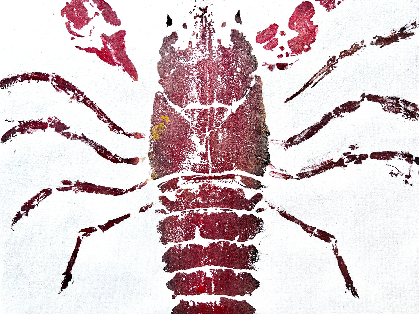 Menai Strait Lobster, Gyotaku Printed