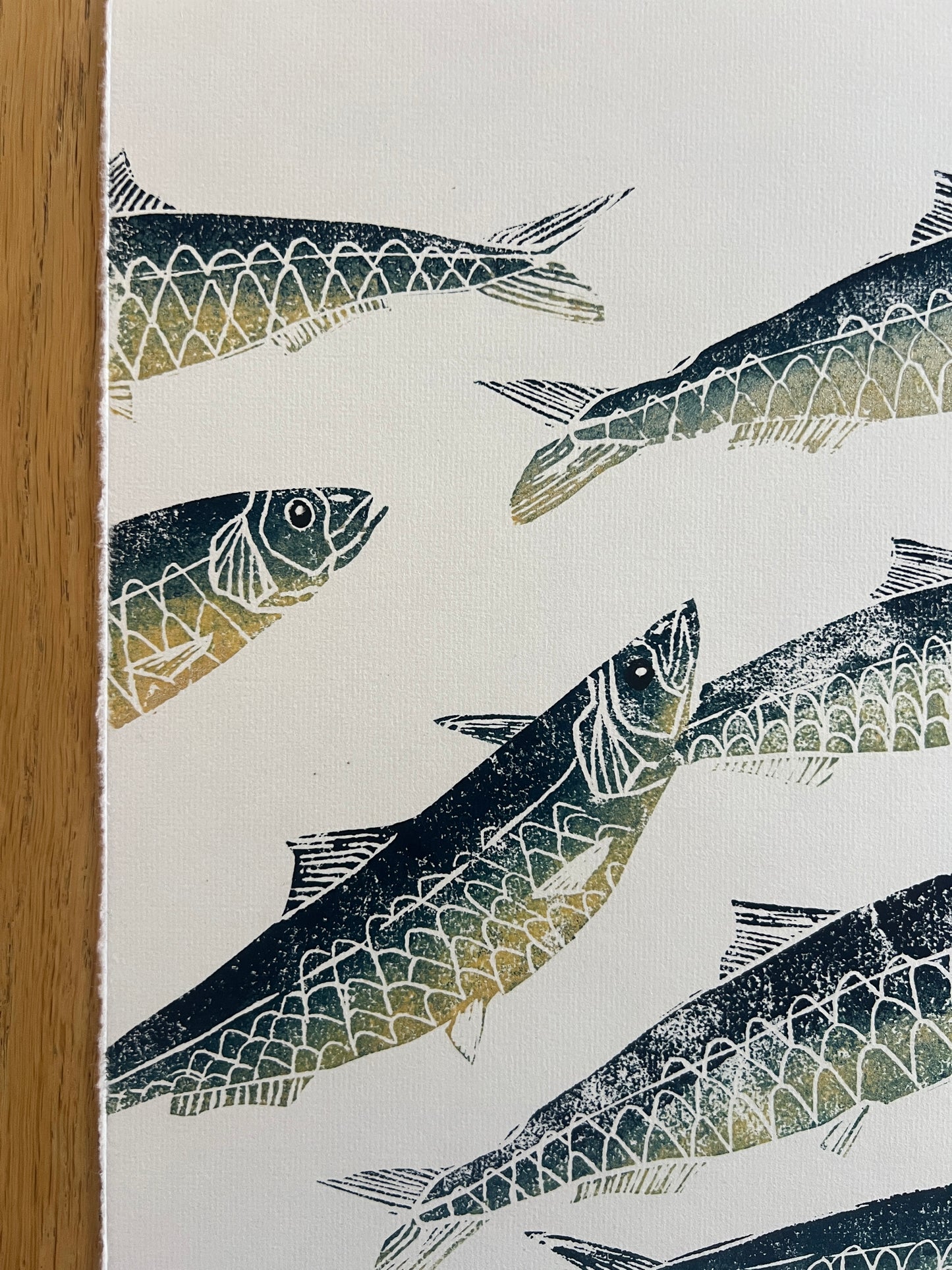 A3 Sardines Print – Hand-Carved Linotaku