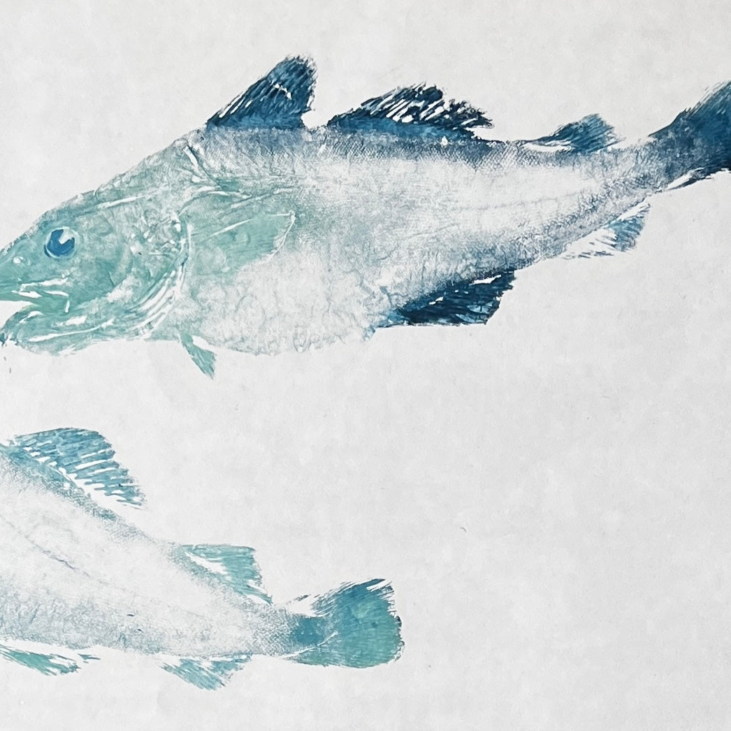 Menai Strait Codling