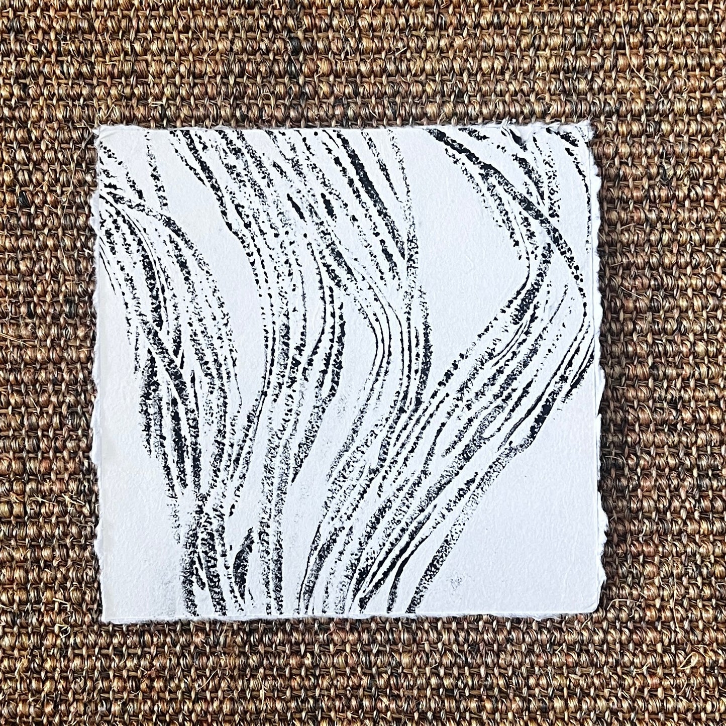 Sea Spaghetti
