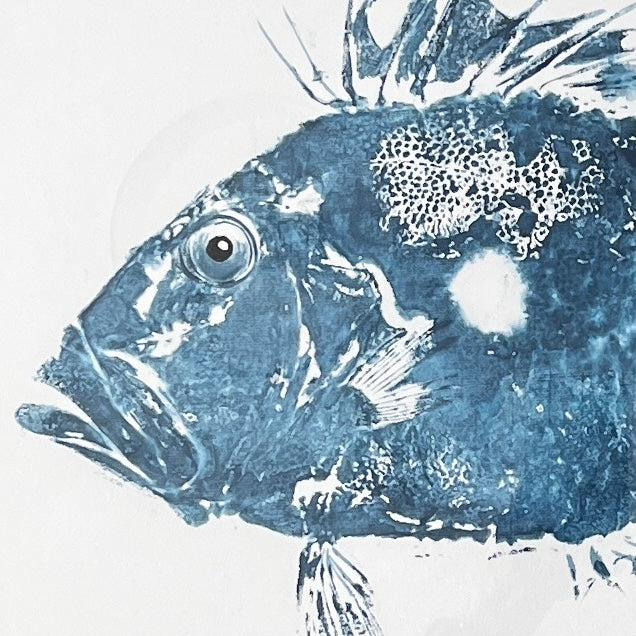 Gyotaku of John Dory