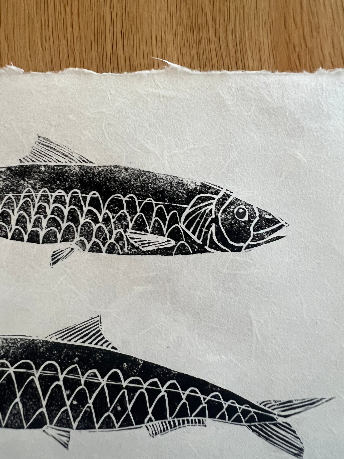 10 x 10 Inch Sardines Print – Linotaku Marine Wall Art