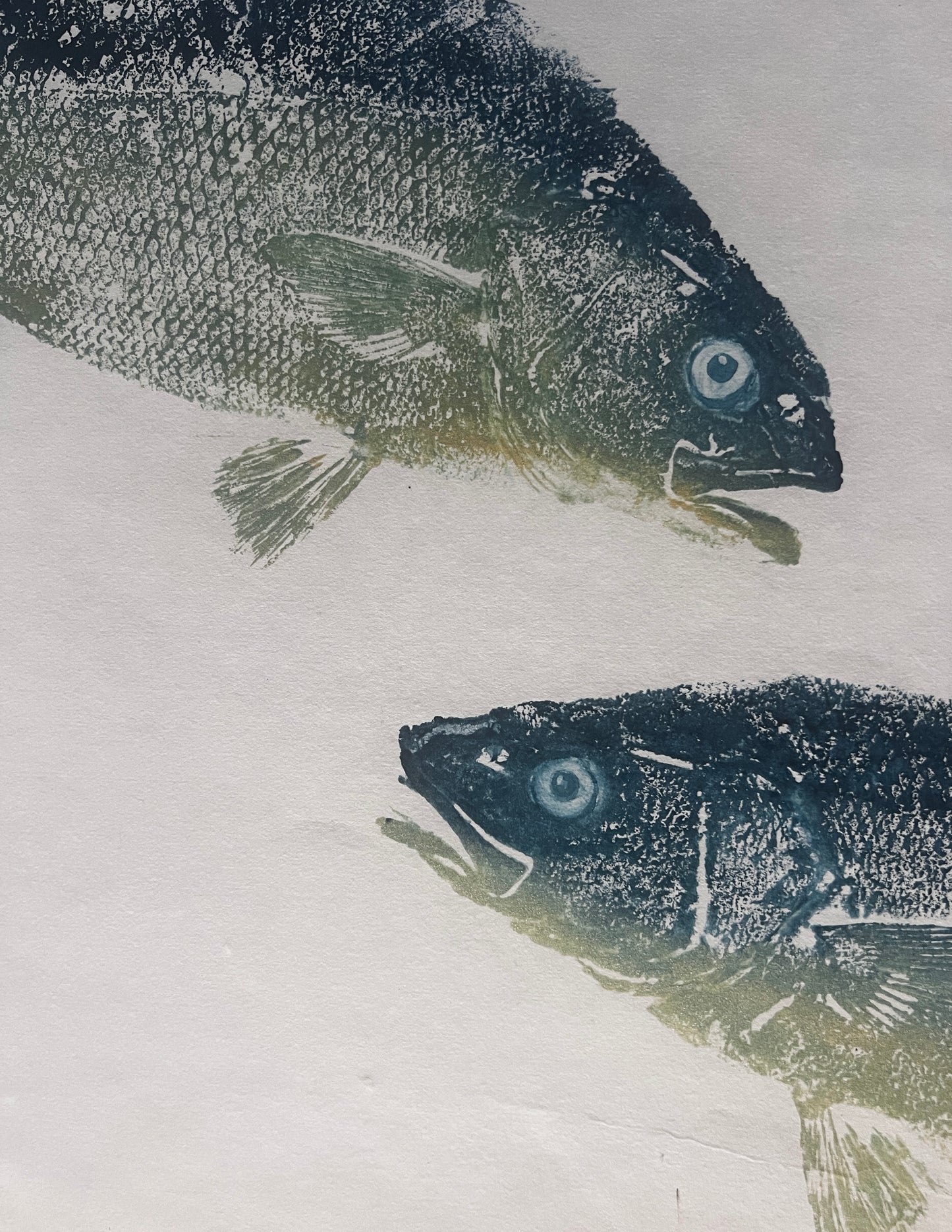 Anglesey Sea Bass Duo Gyotaku