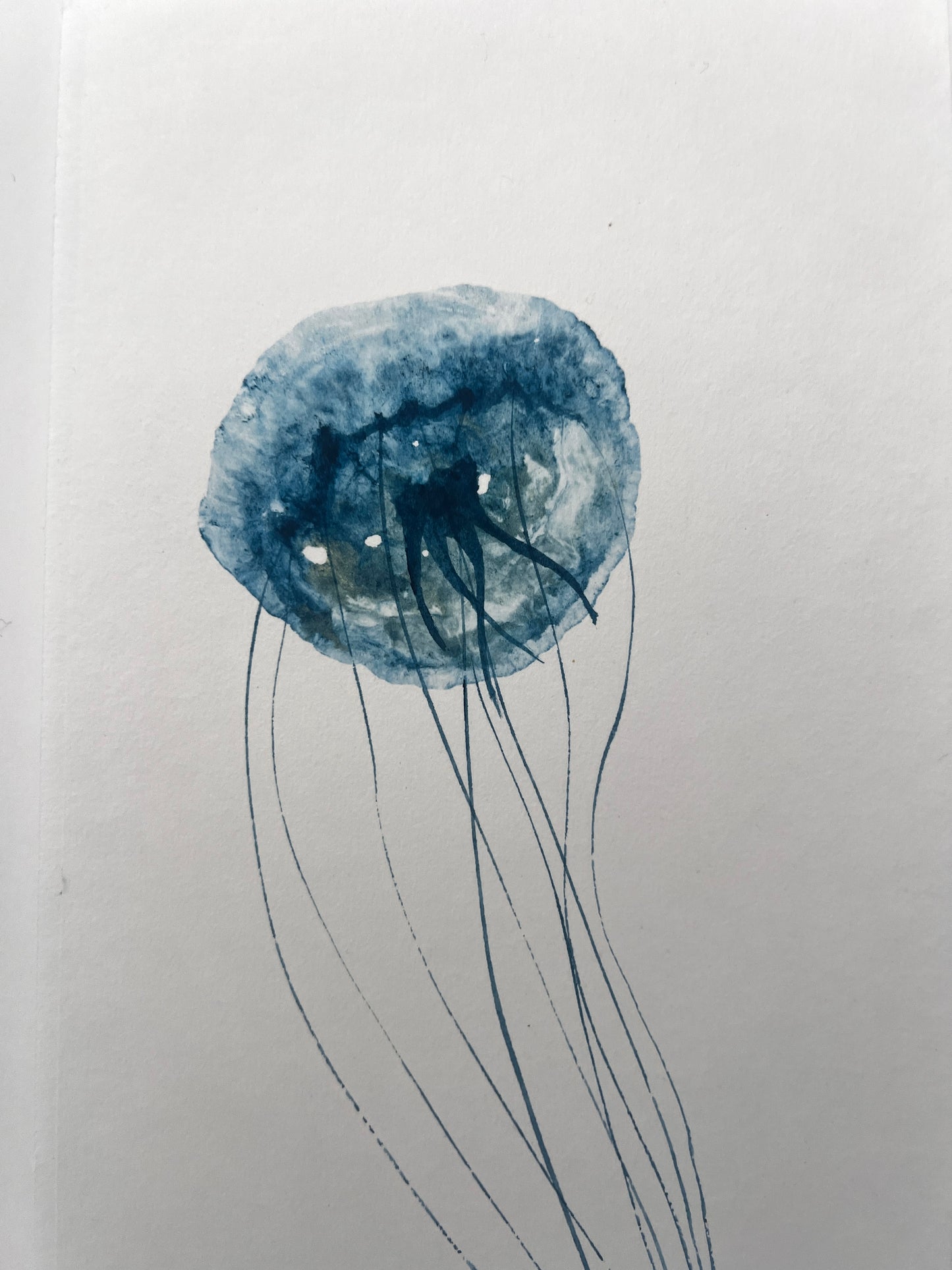 SMALL GYOTAKU PRINT TAKEN FROM A JELLY FISH