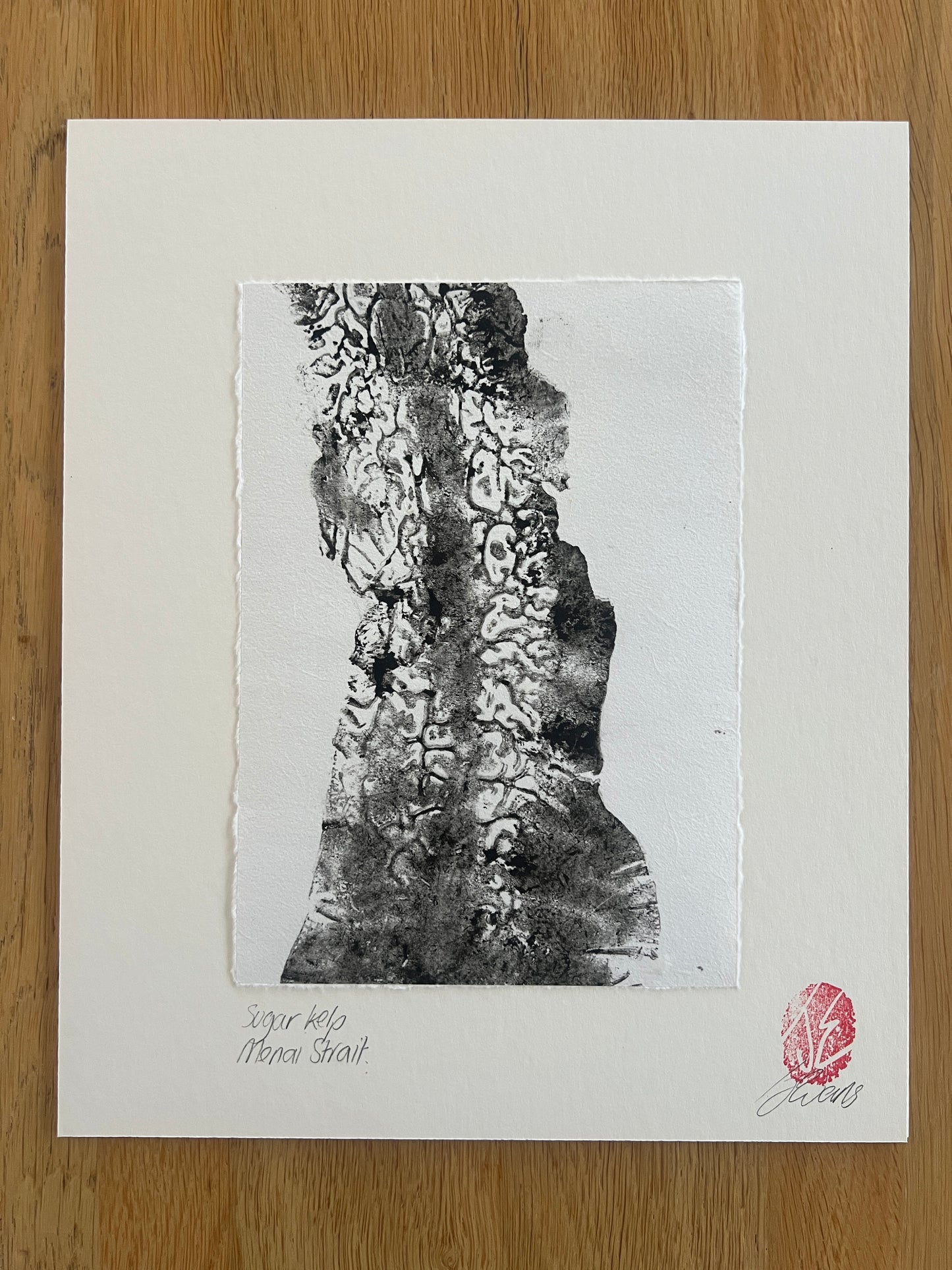 A5 Sugar Kelp Print – Gyotaku-Inspired Marine Wall Art