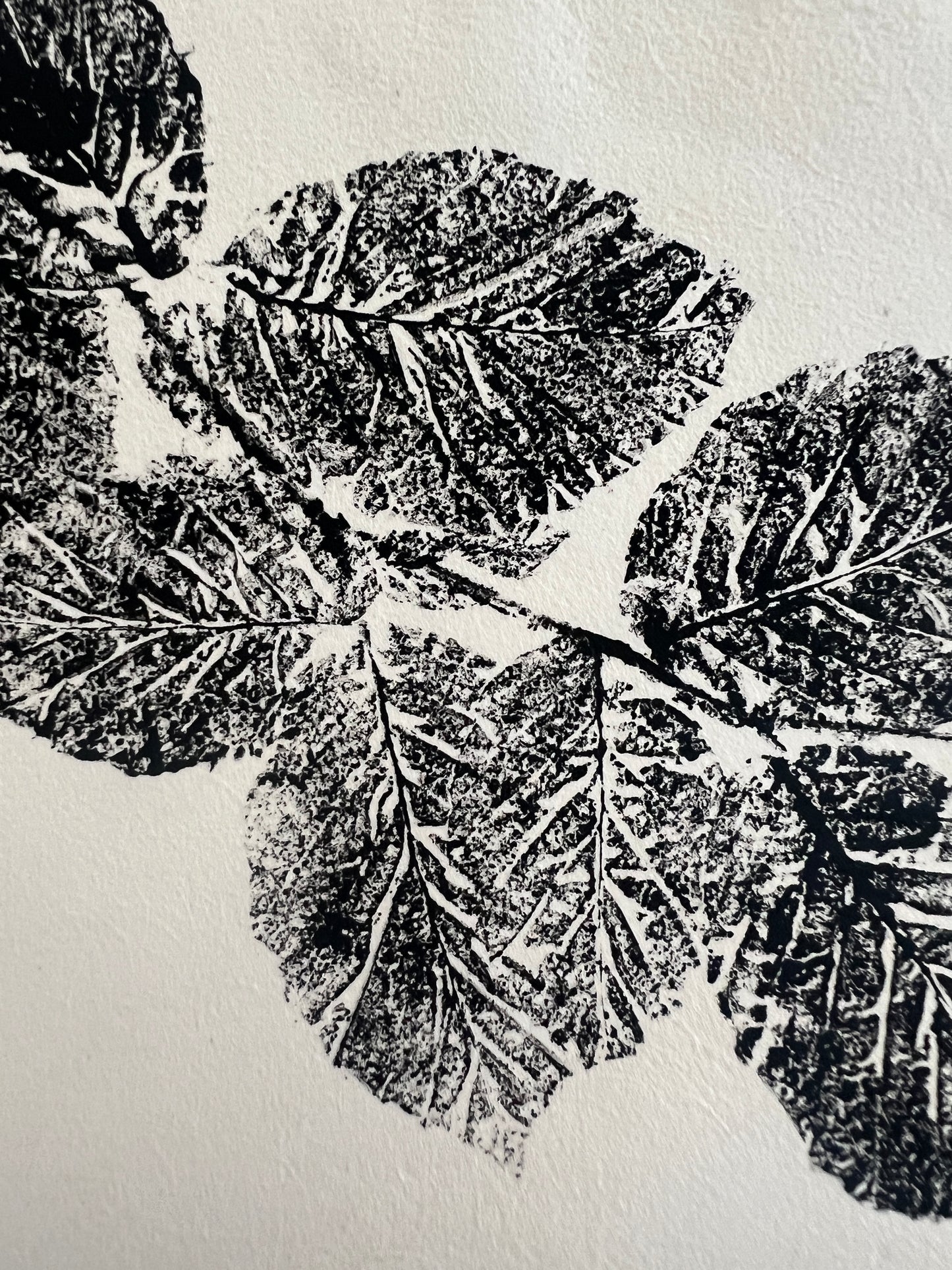 Coed Cyrnol Leaf Print – Black Ink on Thai Mulberry Paper