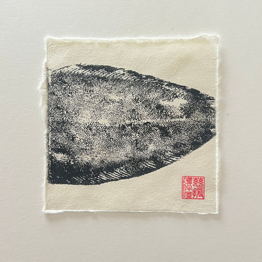 Dover Sole Mini Print – Black Ink on Thai Mulberry Paper