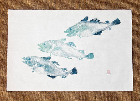 Menai Strait Codling