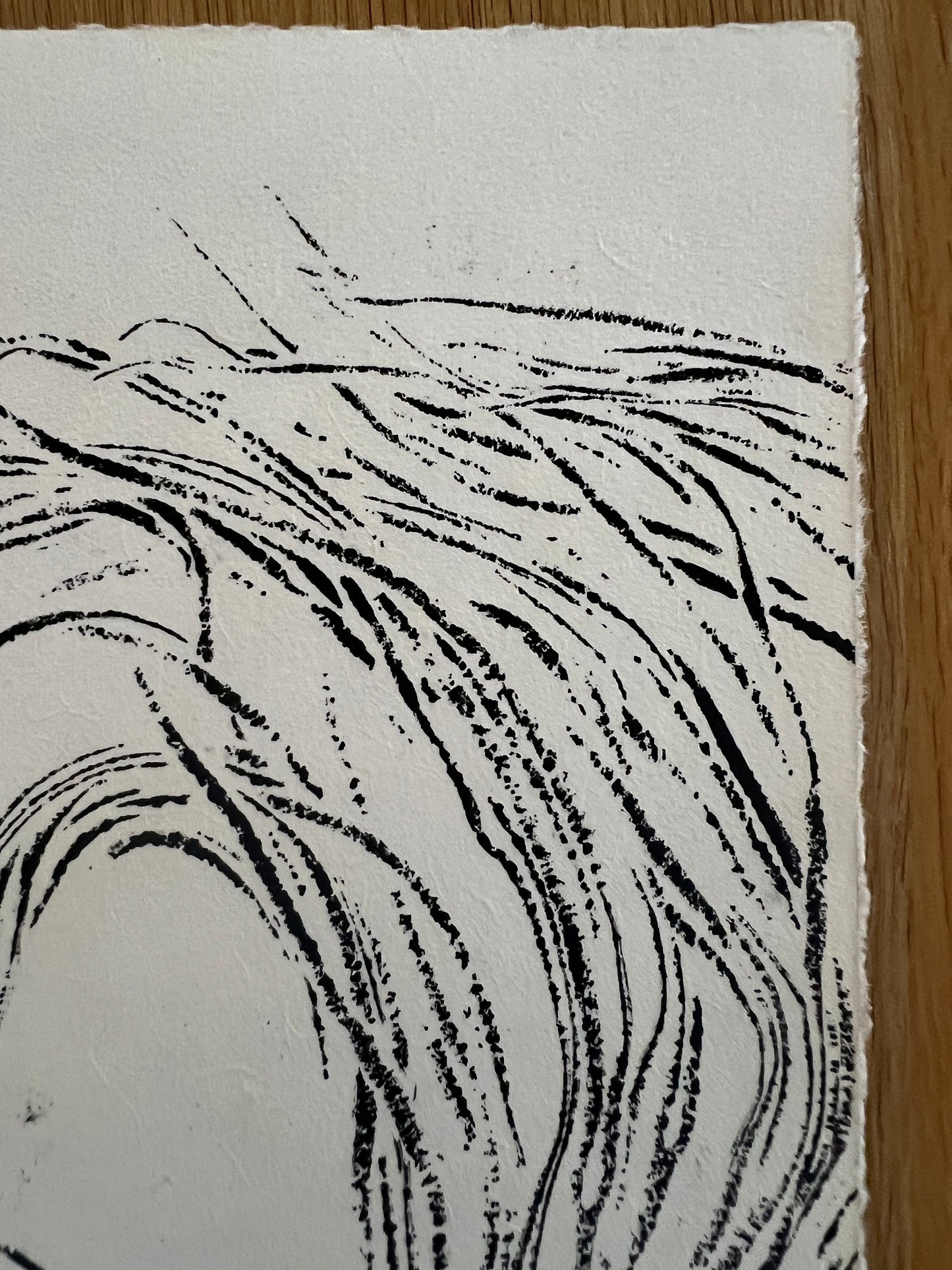 A4 Sea Spaghetti Print – Gyotaku-Inspired Marine Wall Art