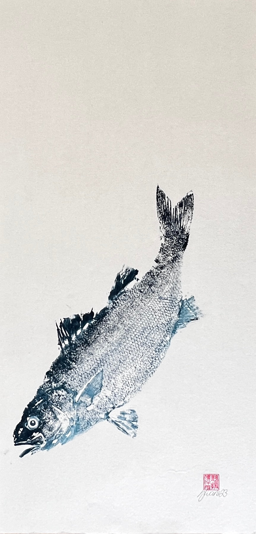 Anglesey Sea Bass Gyotaku