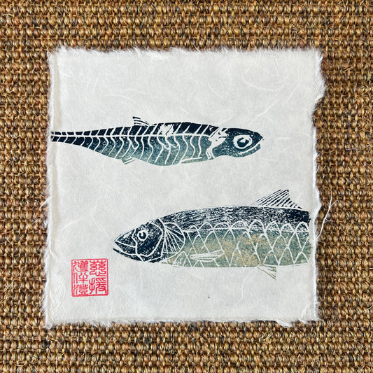 6 x 6 Inch Sardine &amp; Anchovy Print – Linotaku Mini Marine Wall Art
