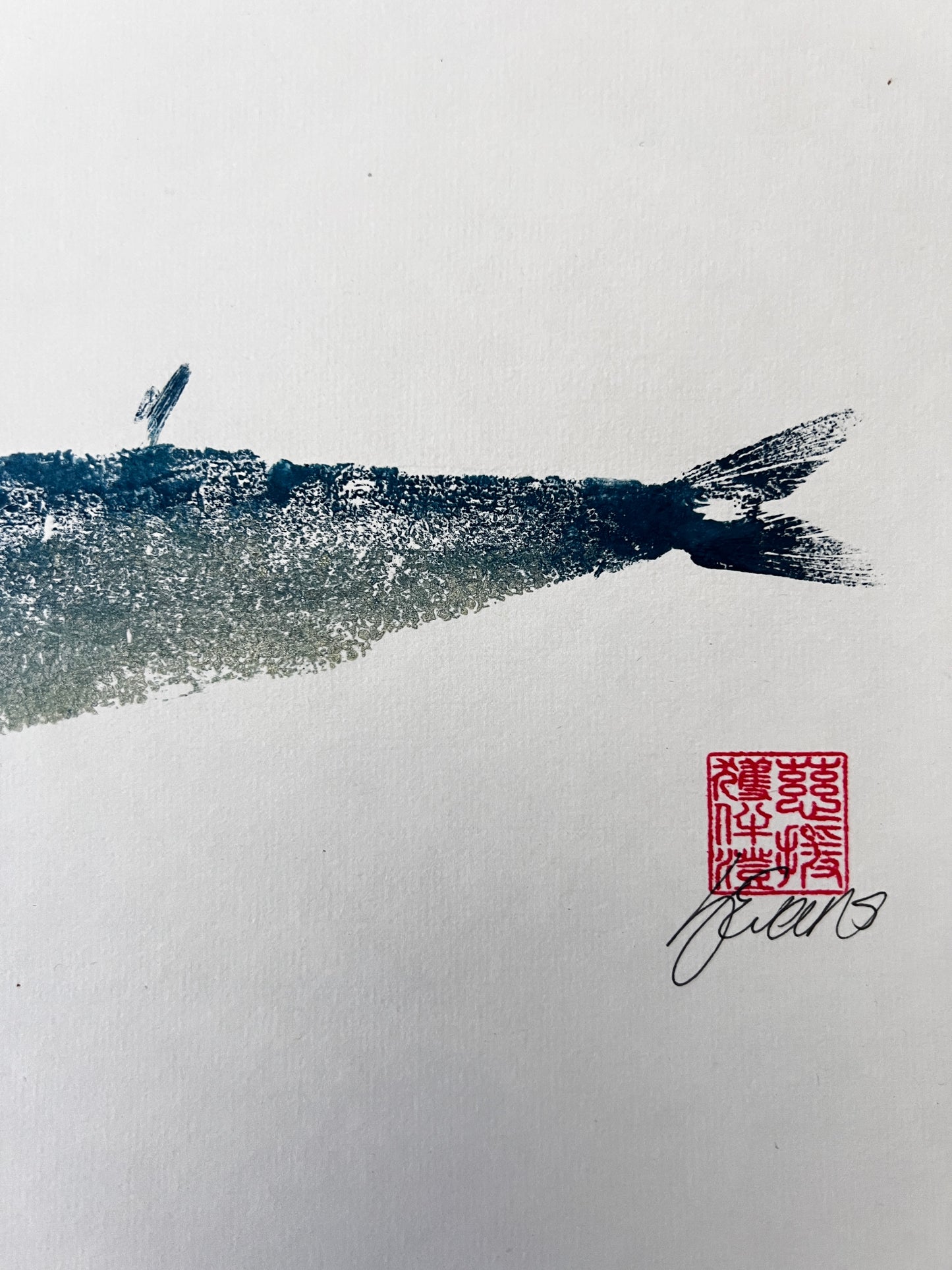 Sardine Gyotaku Print Blue and Gold