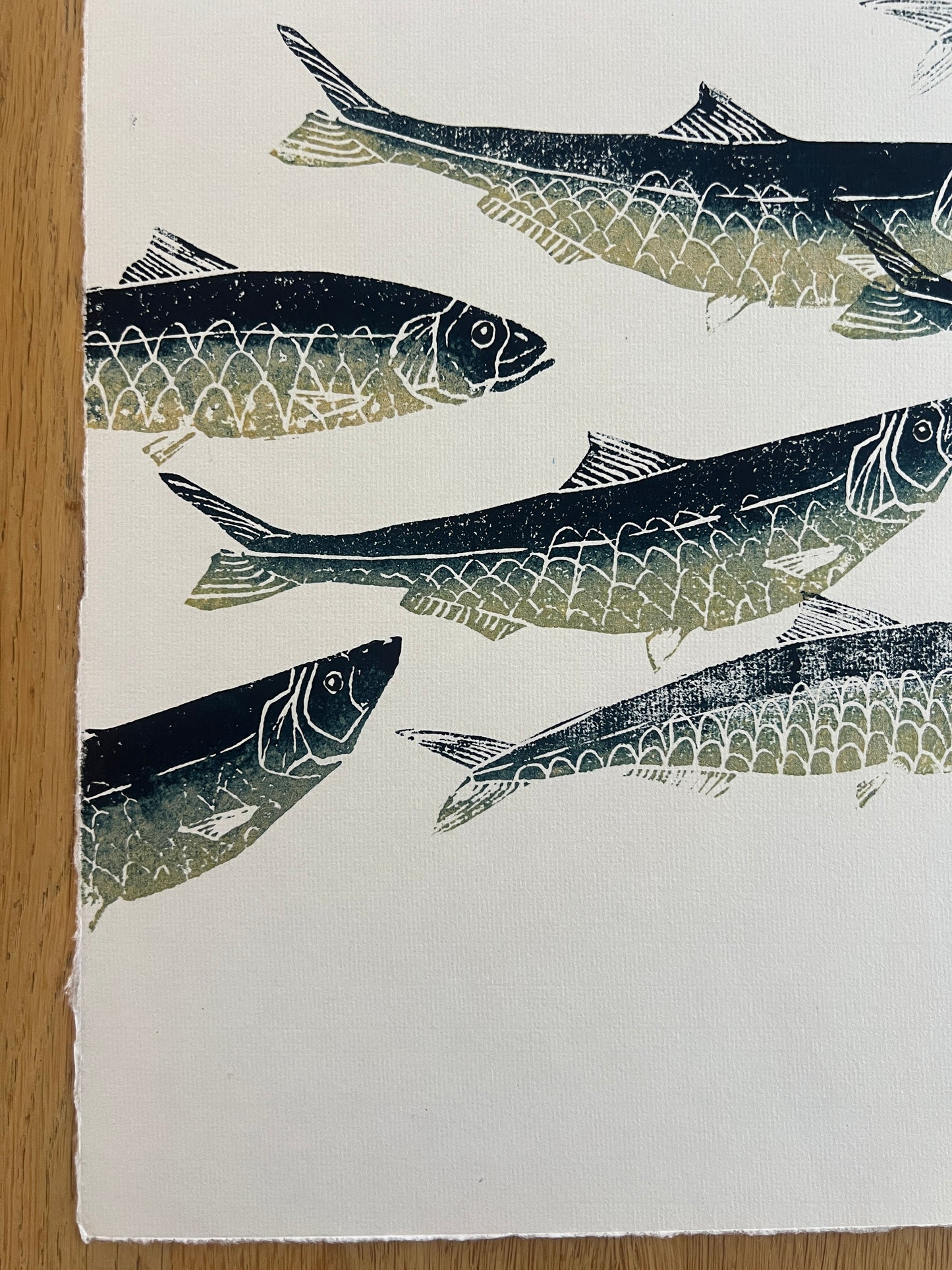A3 Sardines Print – Hand-Carved Linotaku