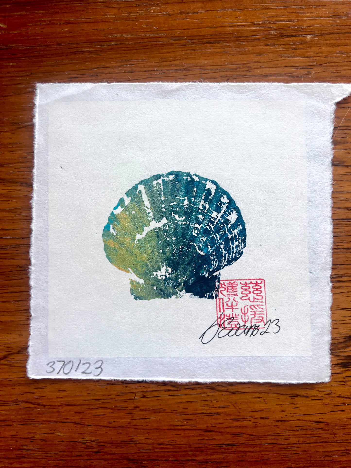 Mini Scallop Shell Gyotaku